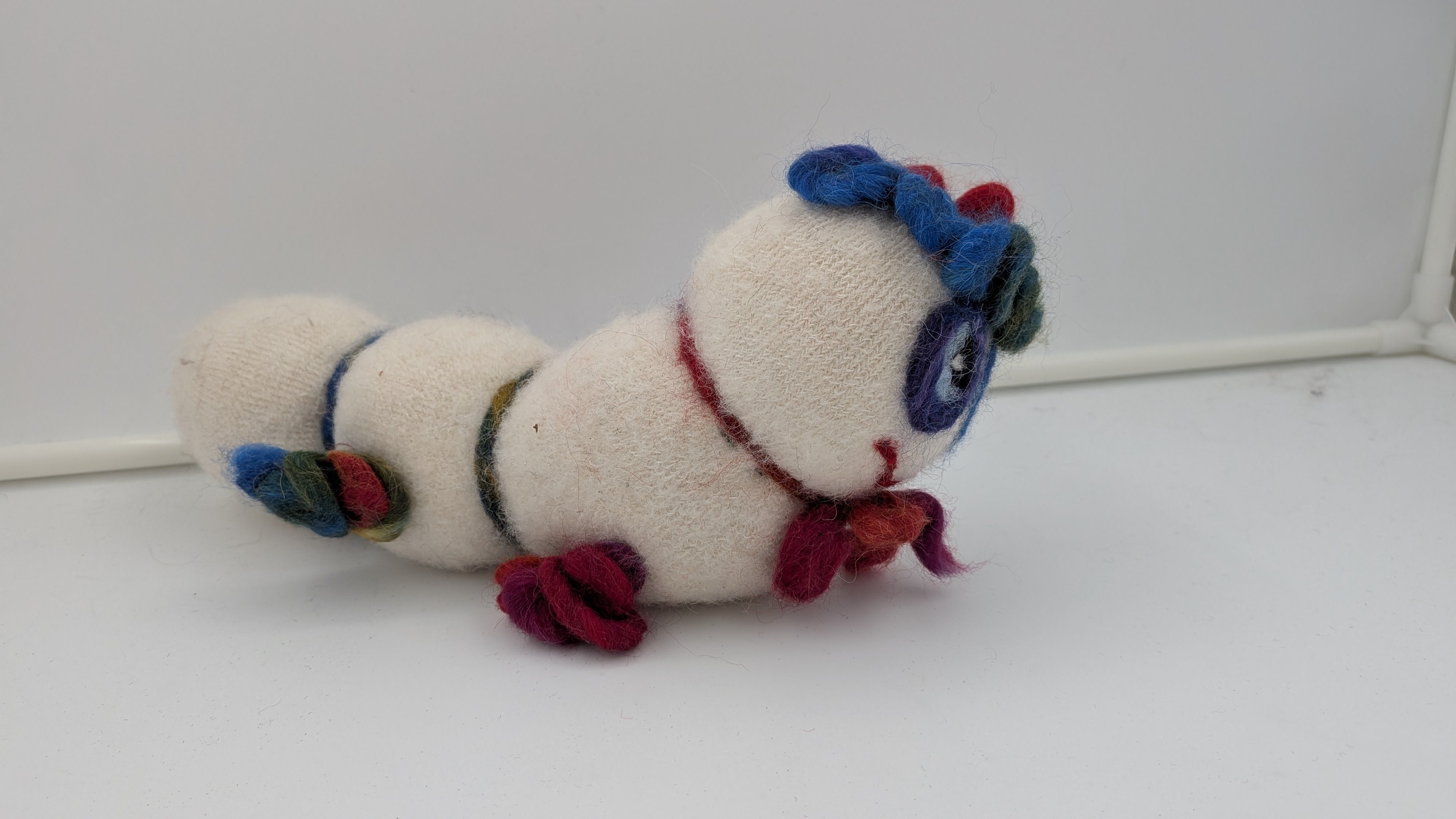 Sock Caterpilar— Studio