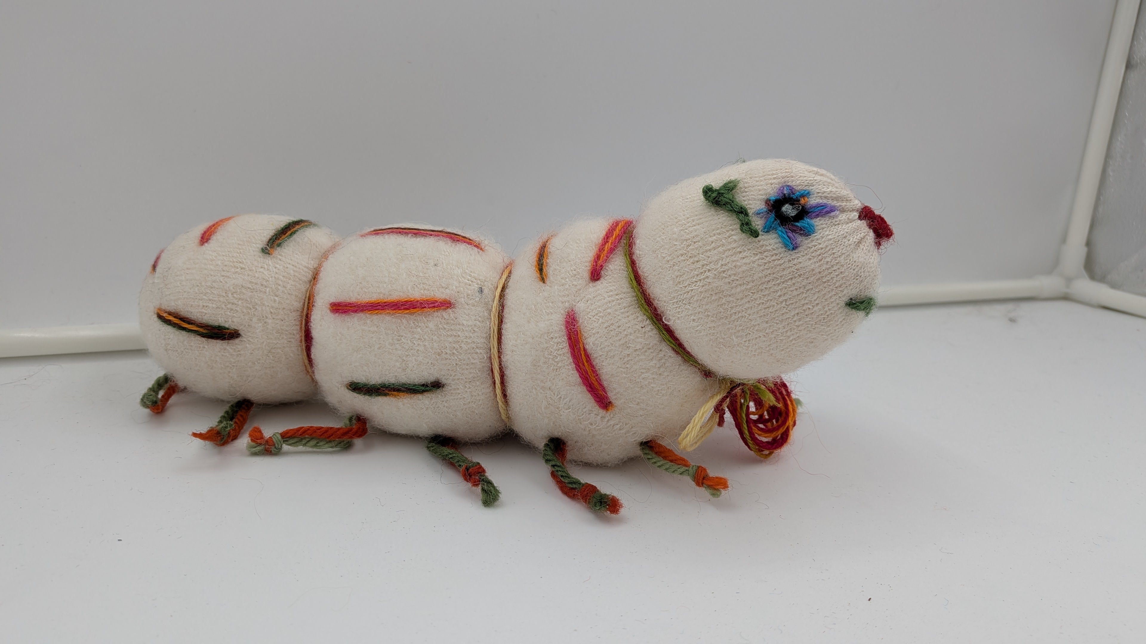 Sock Caterpilar— Studio