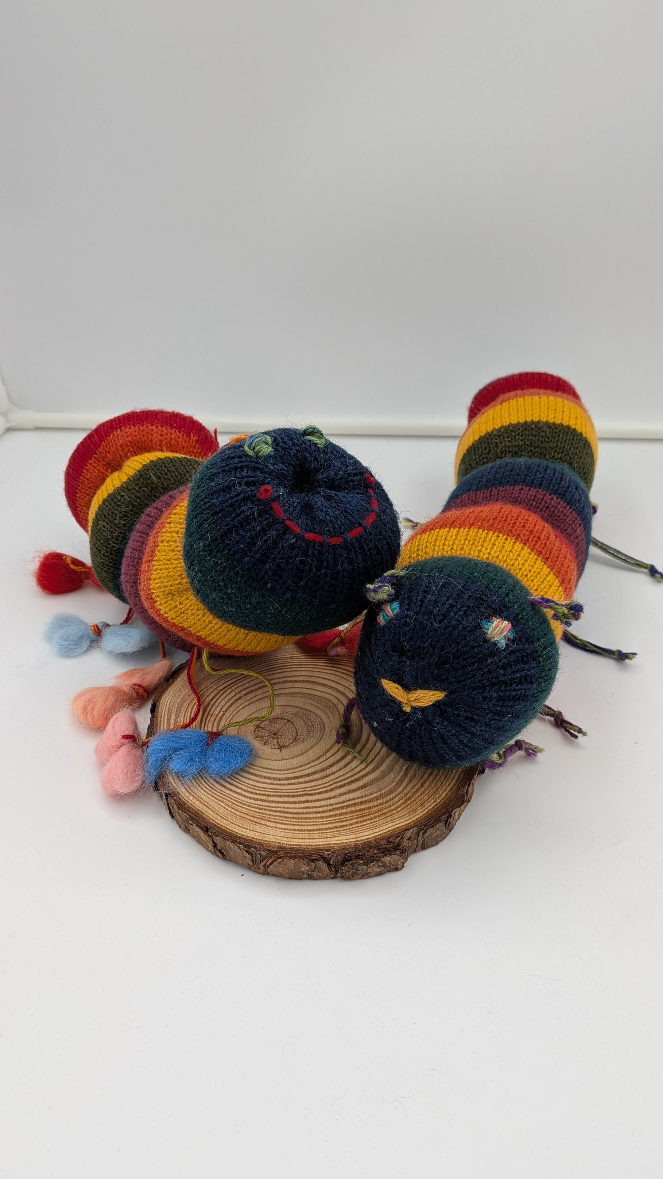 Sock Caterpilar— Studio