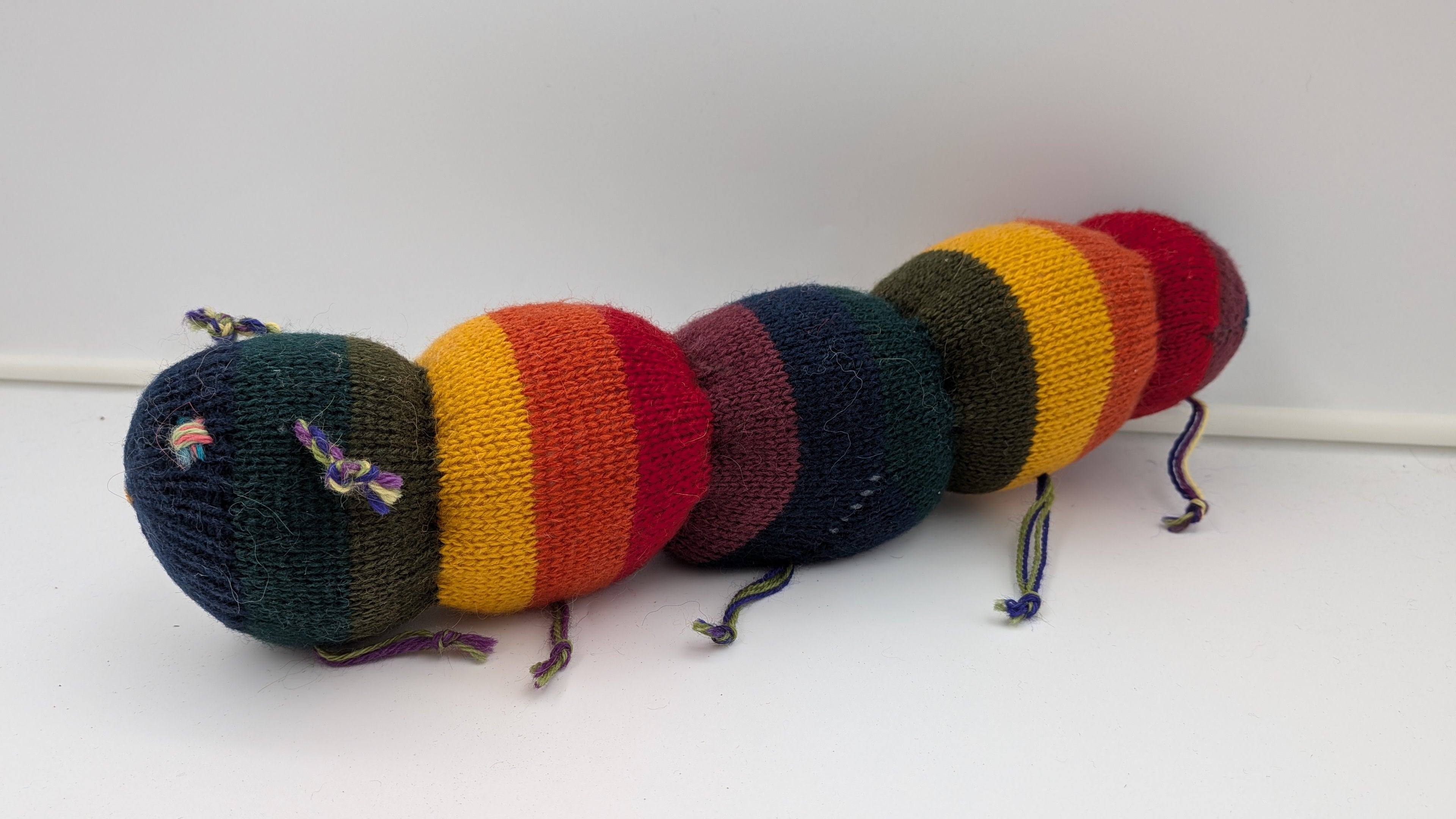Sock Caterpilar— Studio