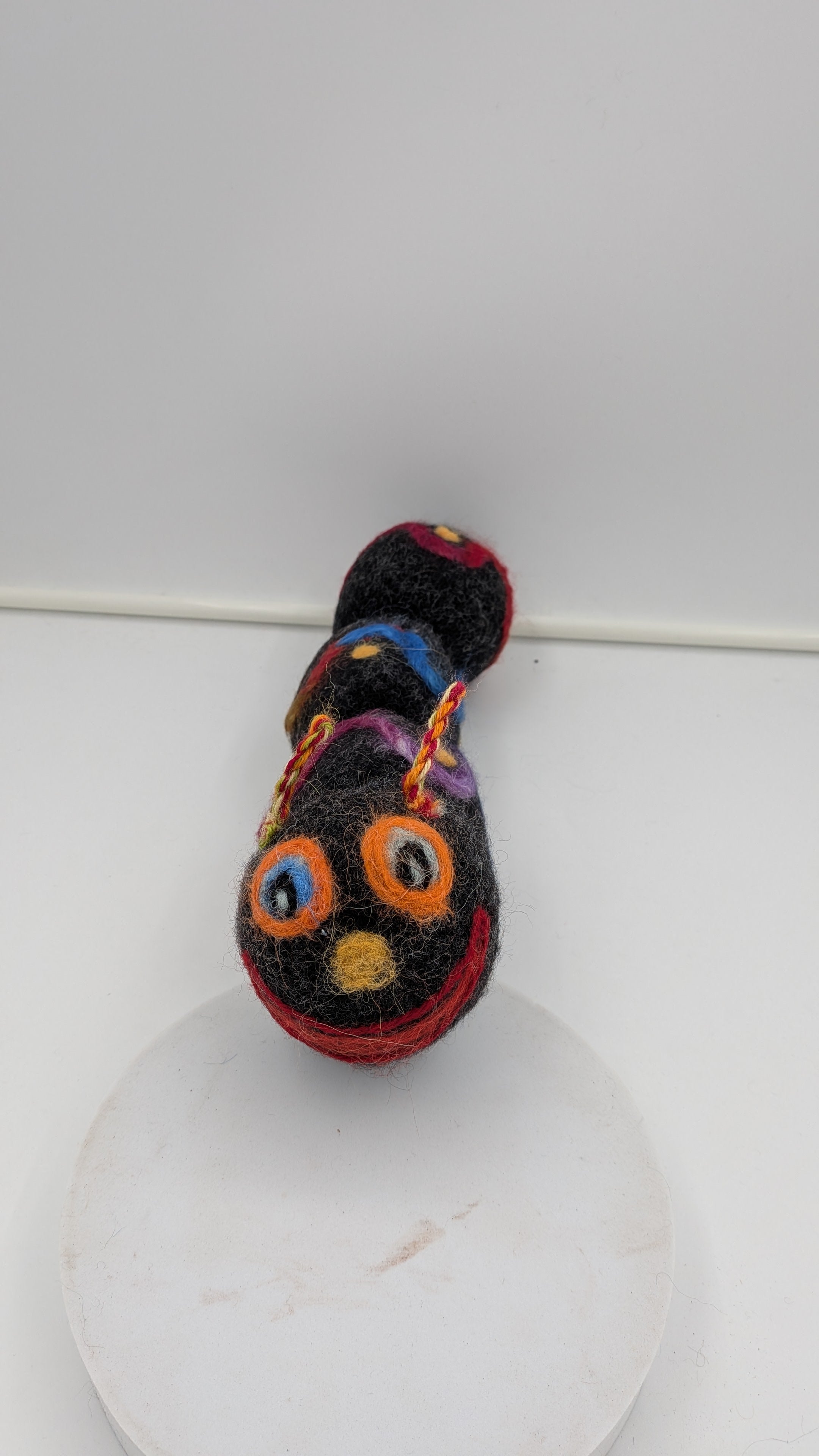 Sock Caterpilar— Studio