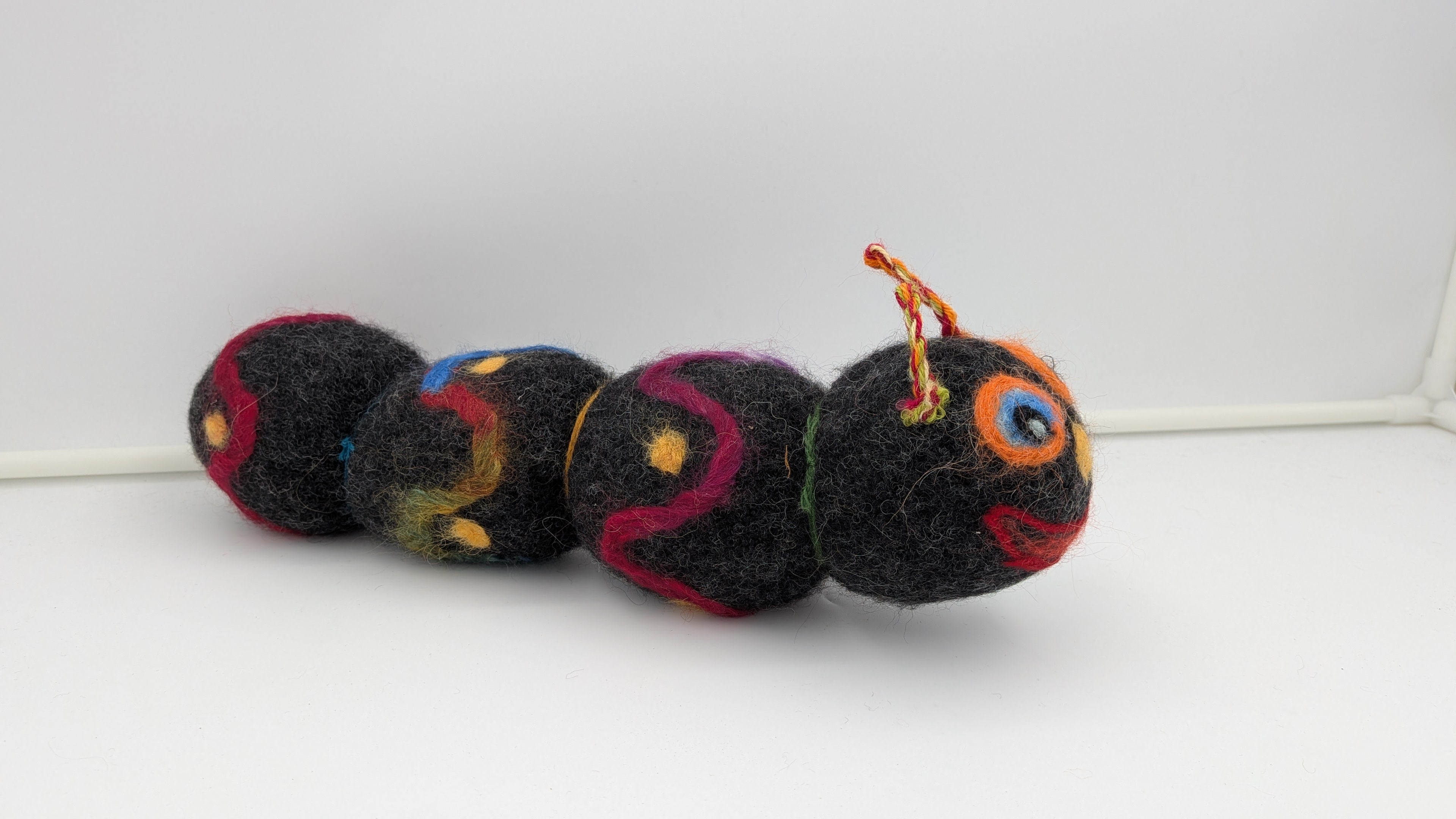 Sock Caterpilar— Studio