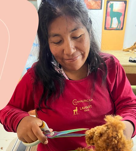 Rainbow Shades Alpaca - Lanart Alpaca