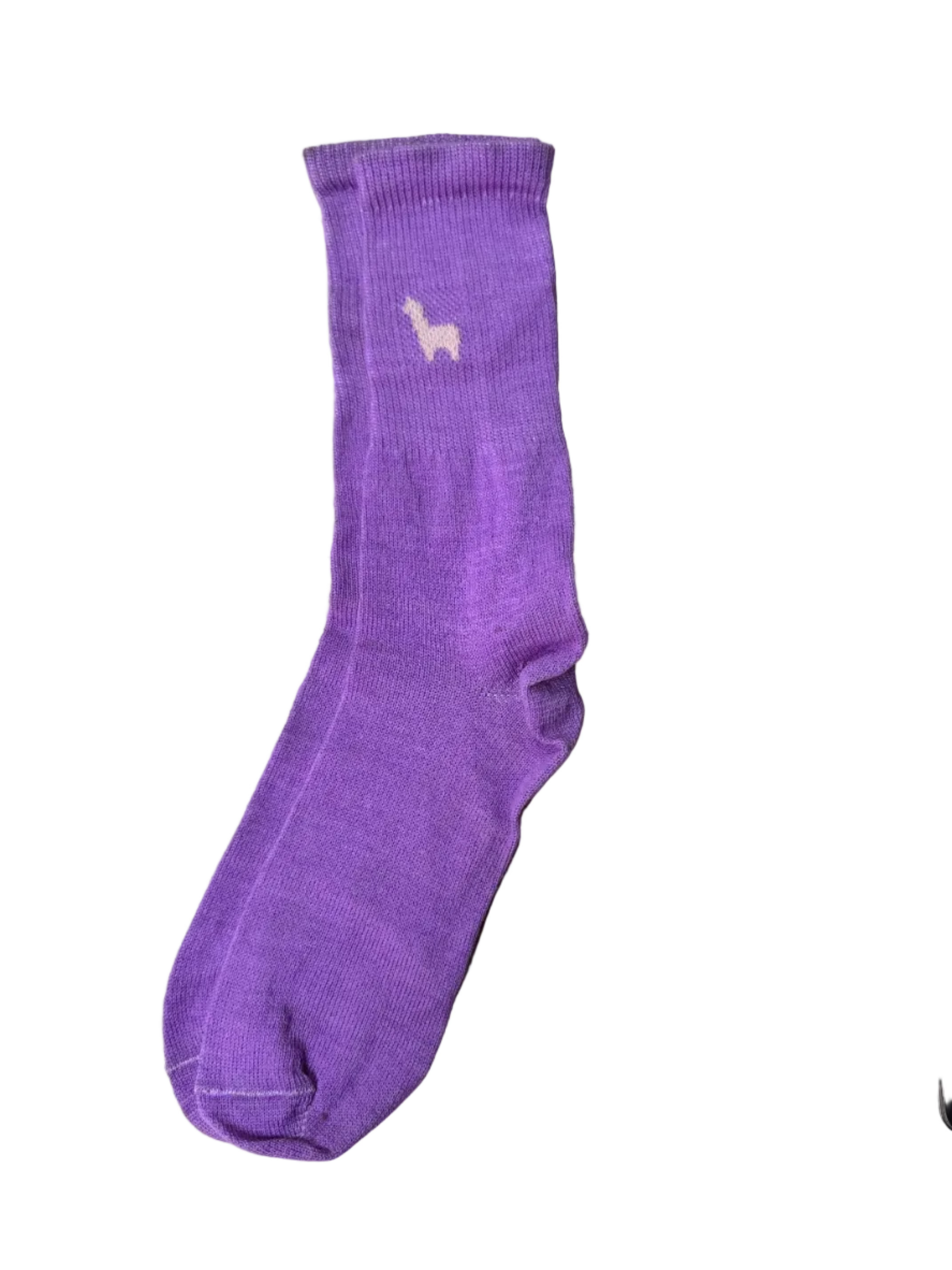 Dress Socks Purple — Studio