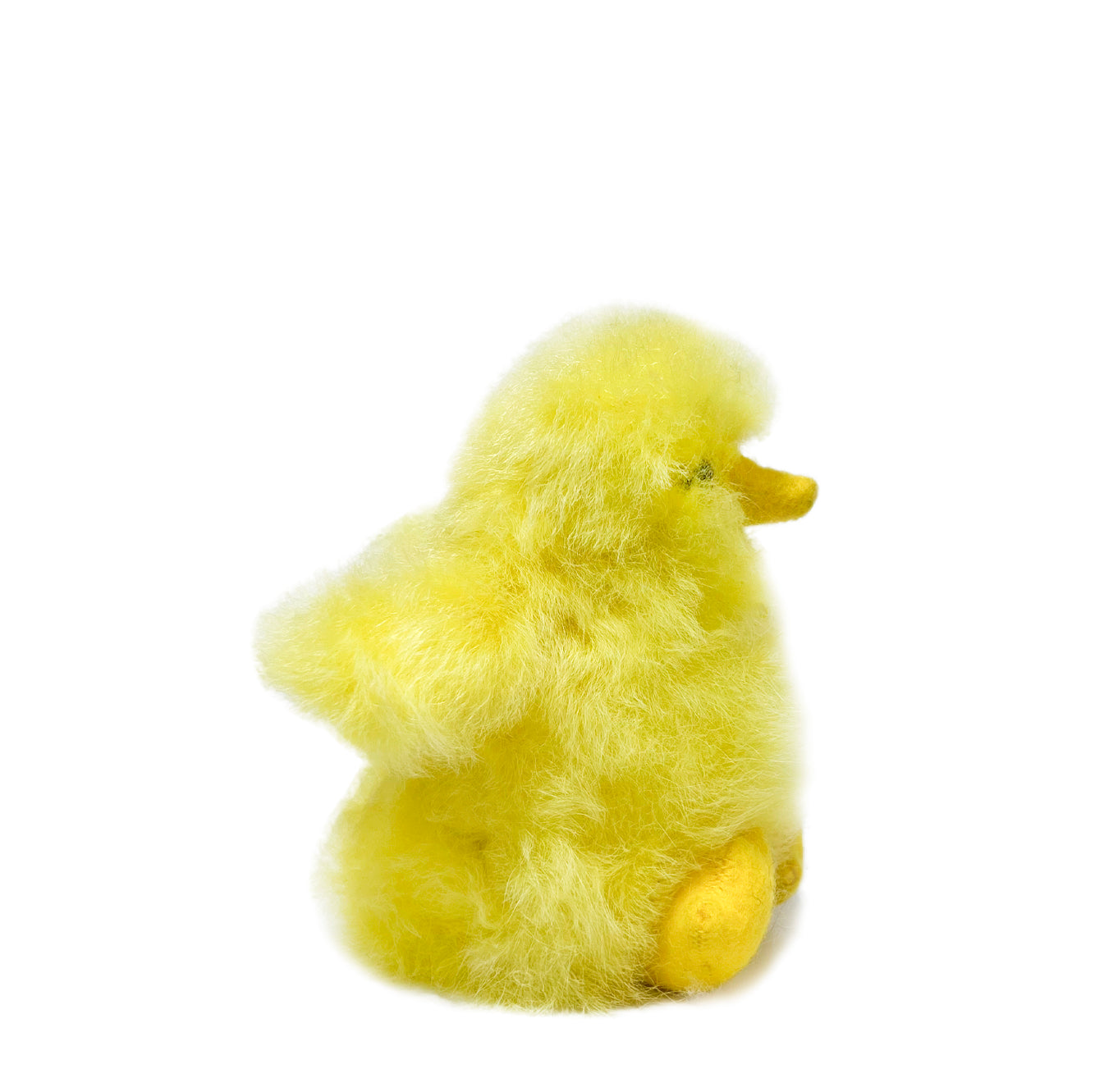 Chico Chick
