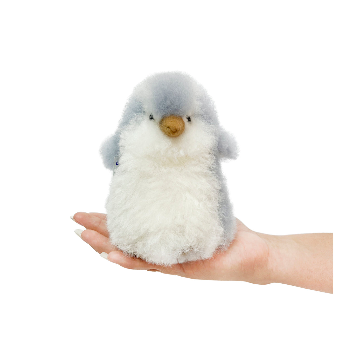 Chico Penguin