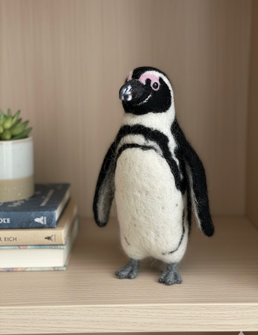 Magellanic Penguin