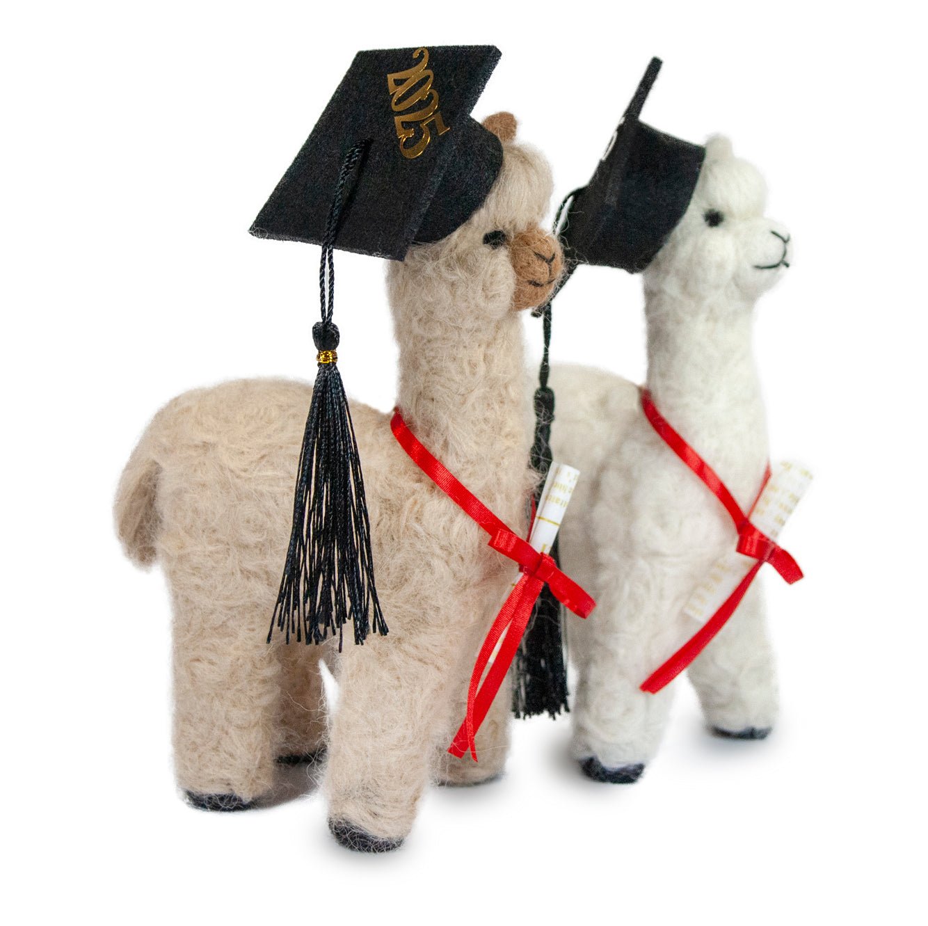Graduation Alpaca - Lanart Alpaca