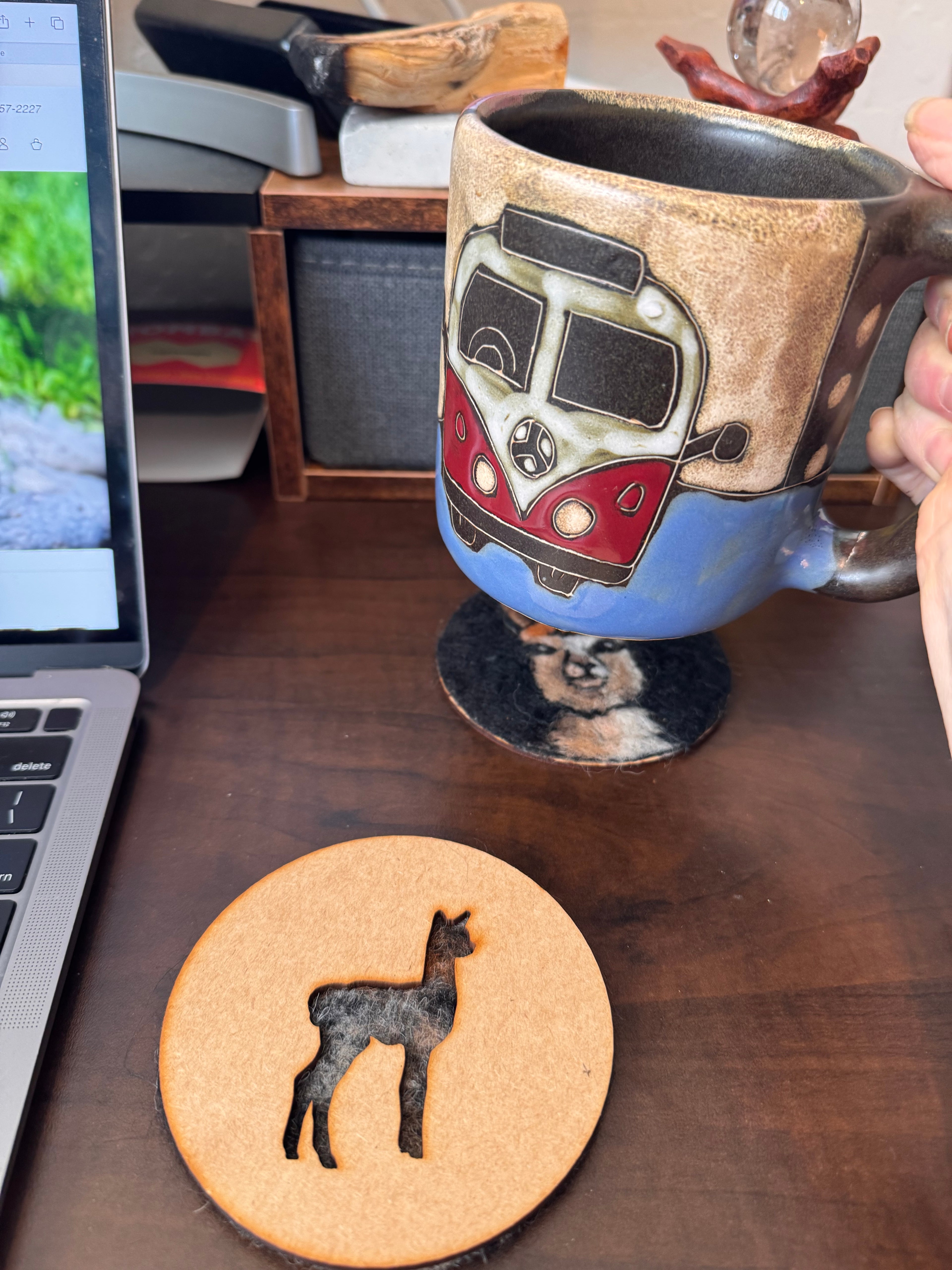 Alpaca Peek Coaster