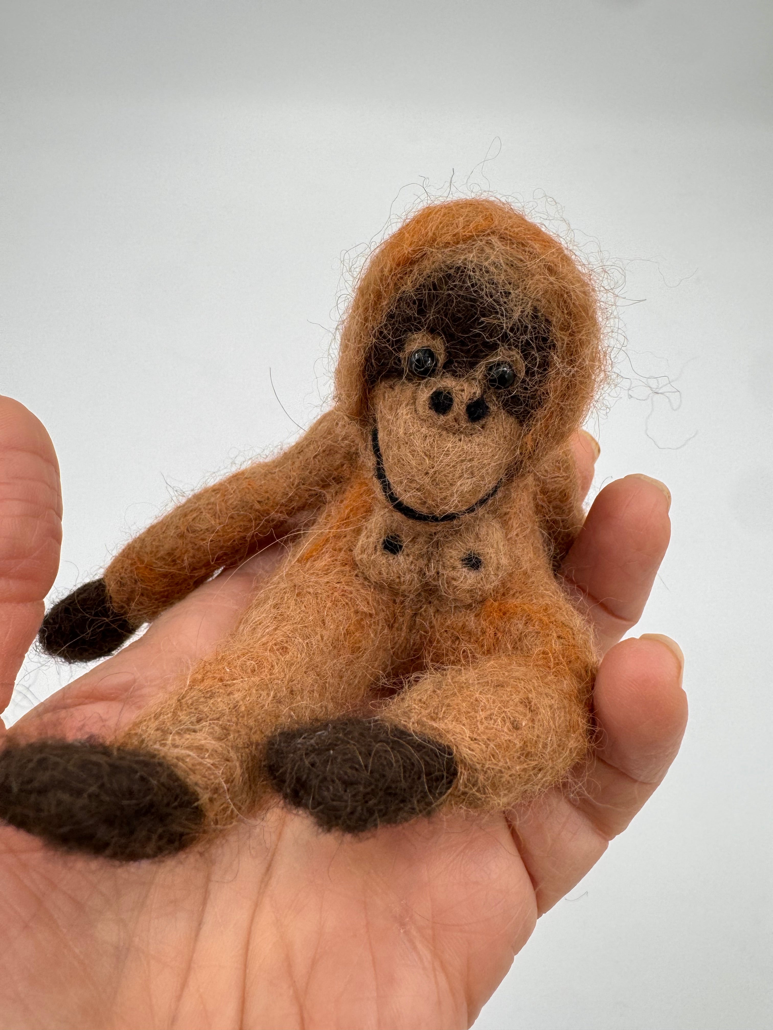 Orangutan