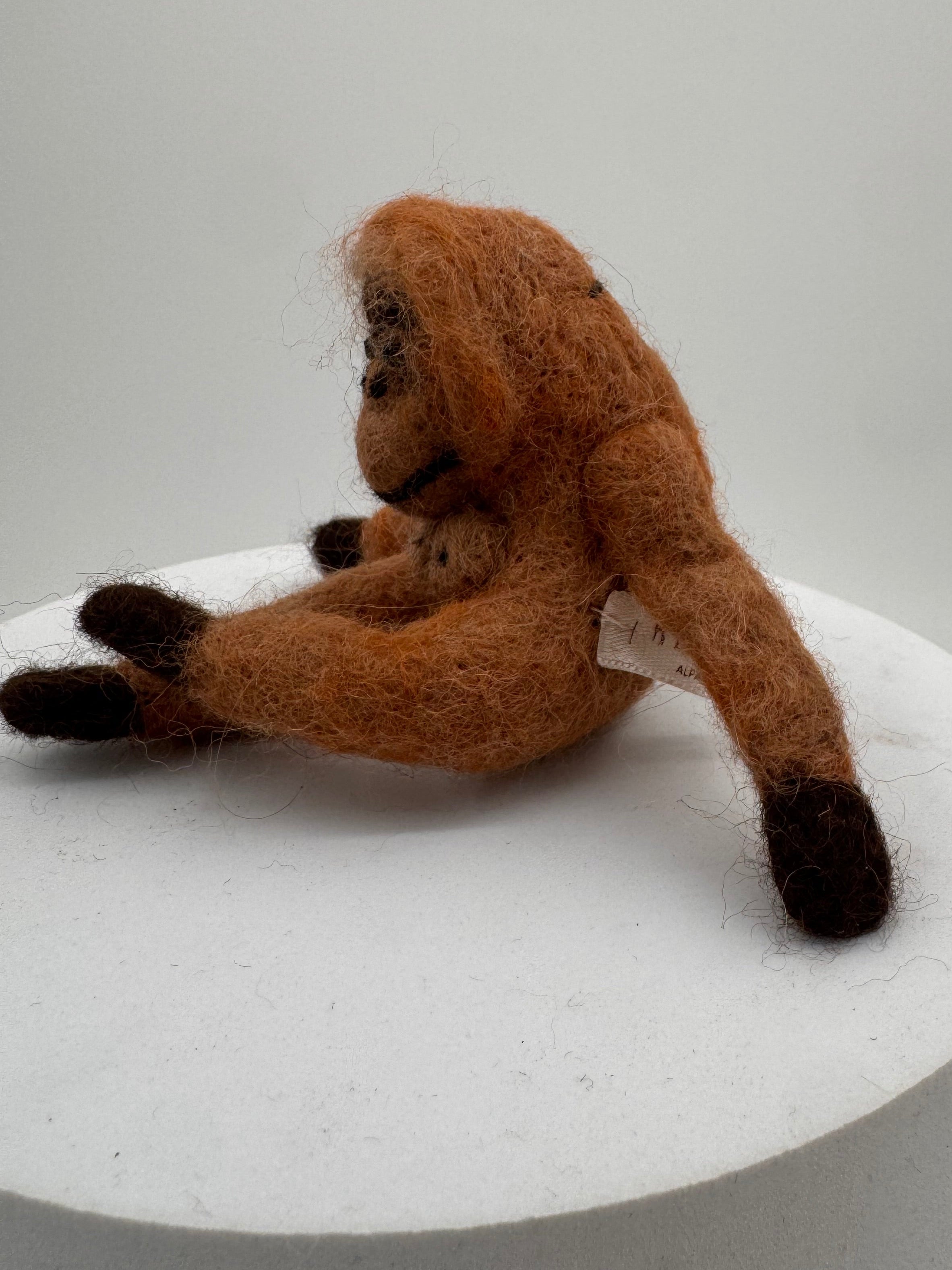 Orangutan
