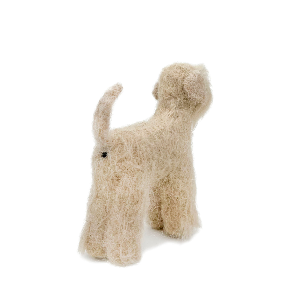Irish Wheaten Terrier Dog