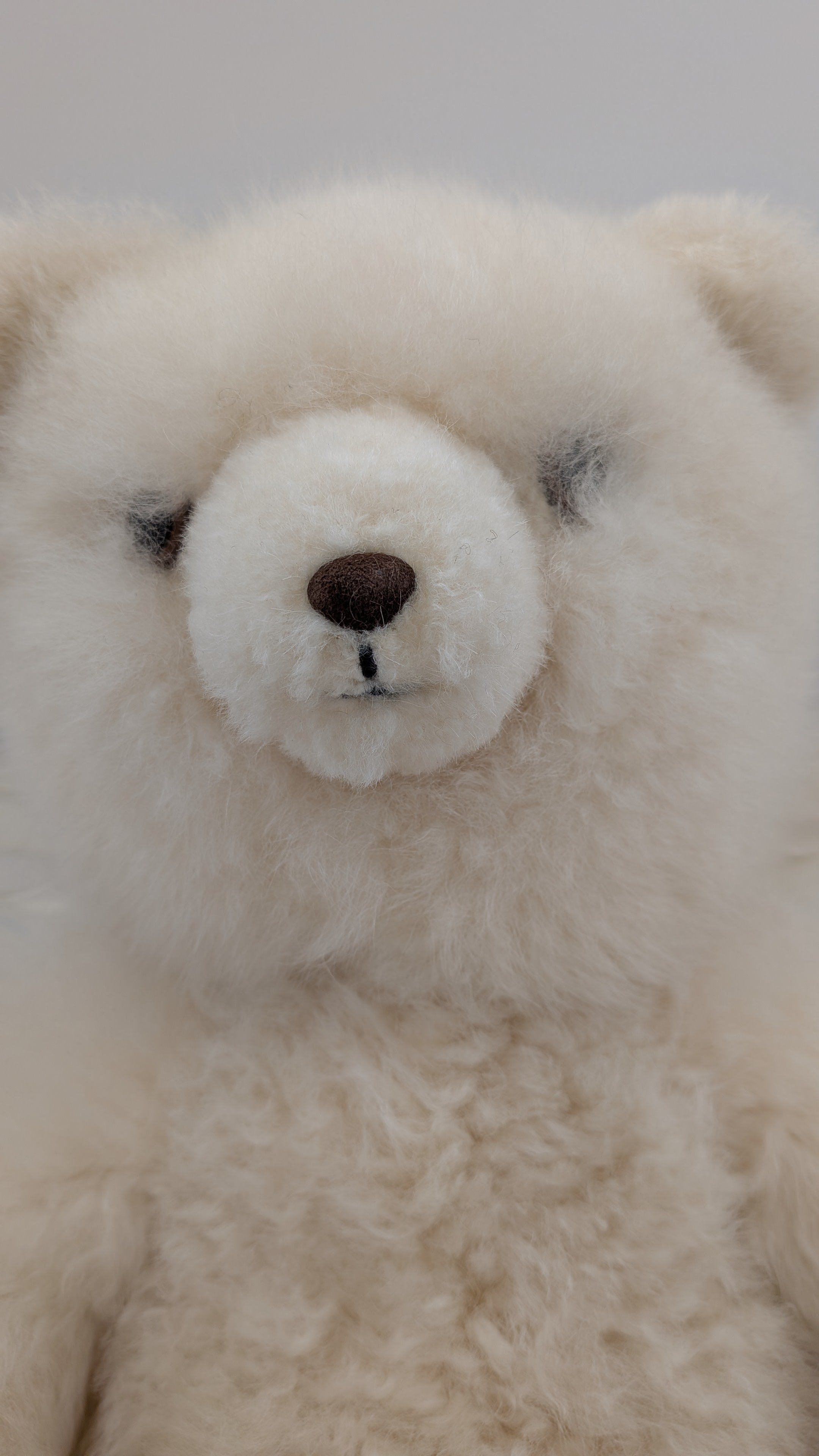 A close-up of a fluffy cream-colored teddy bear with a dark brown stitched nose and black embroidered eyes, set against a plain light gray background.