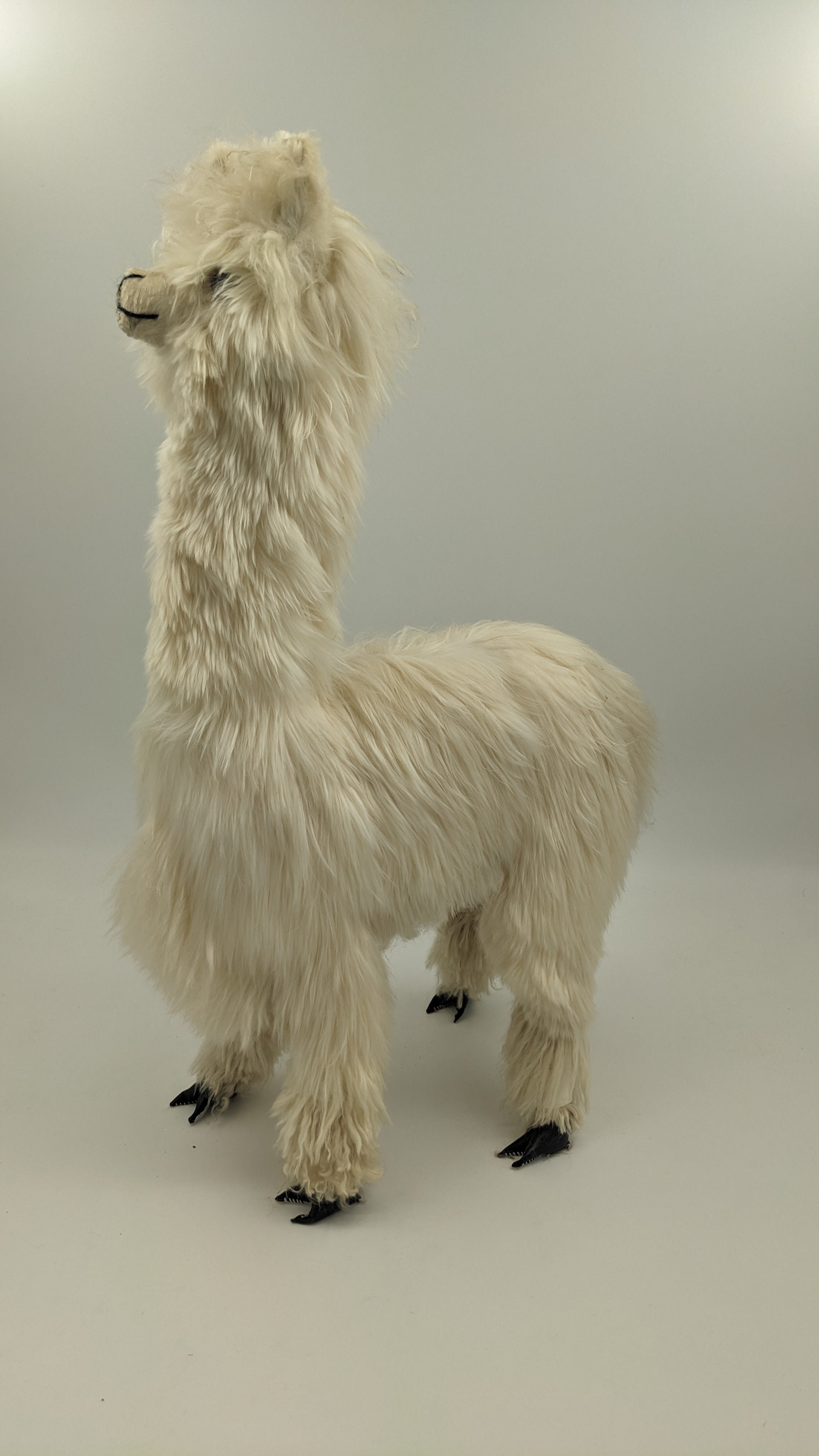 Special Suri Alpaca 22" — Studio