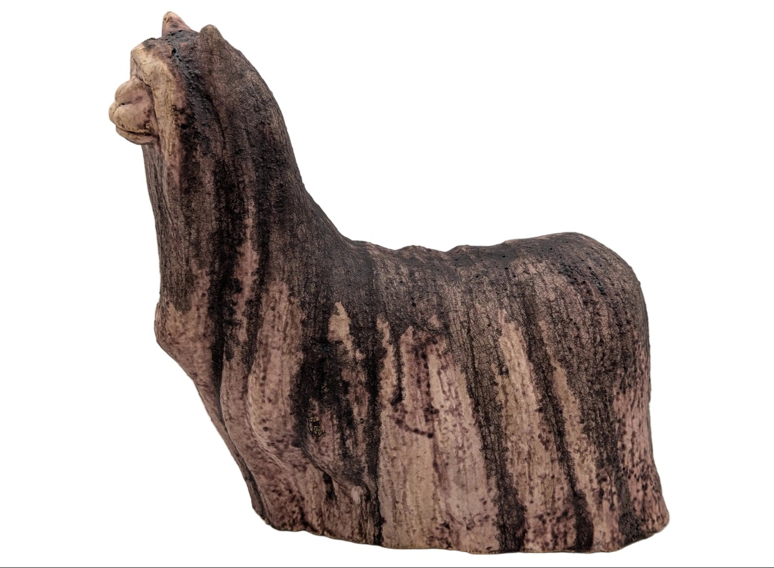 Terra Cotta Suri Alpacas