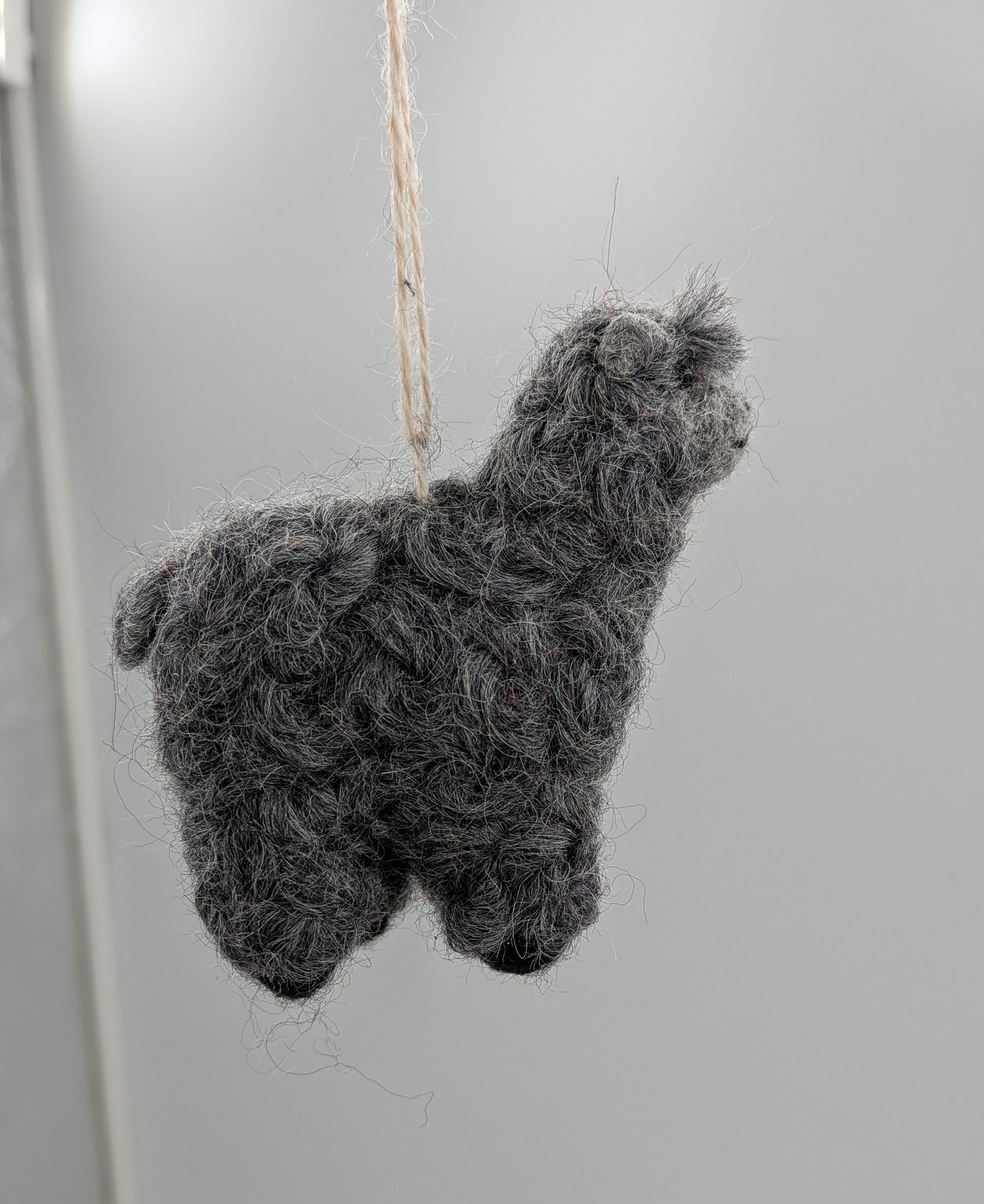 Boucle Lamb — Studio