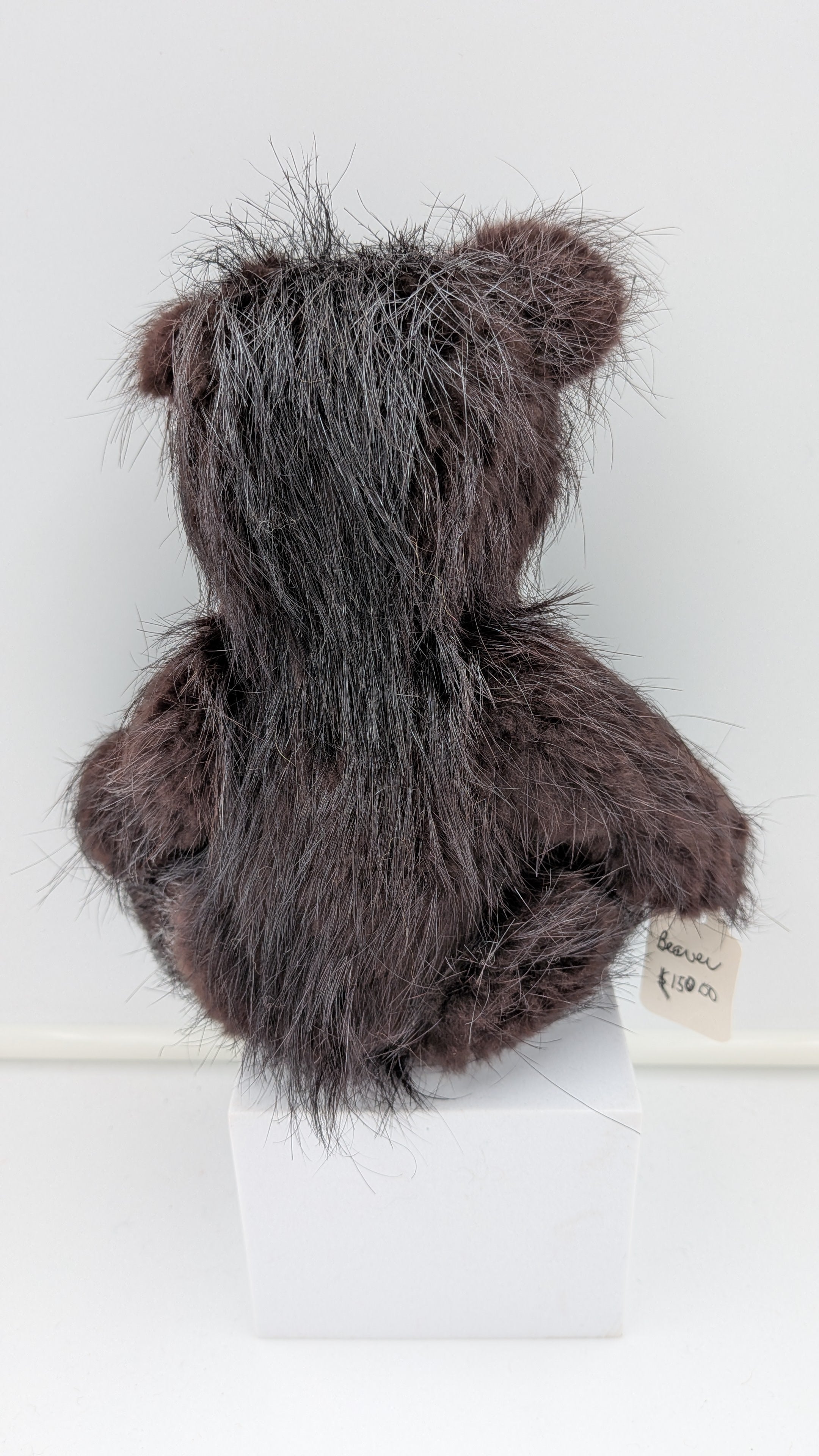 Beauty Jointed Bear — Studio