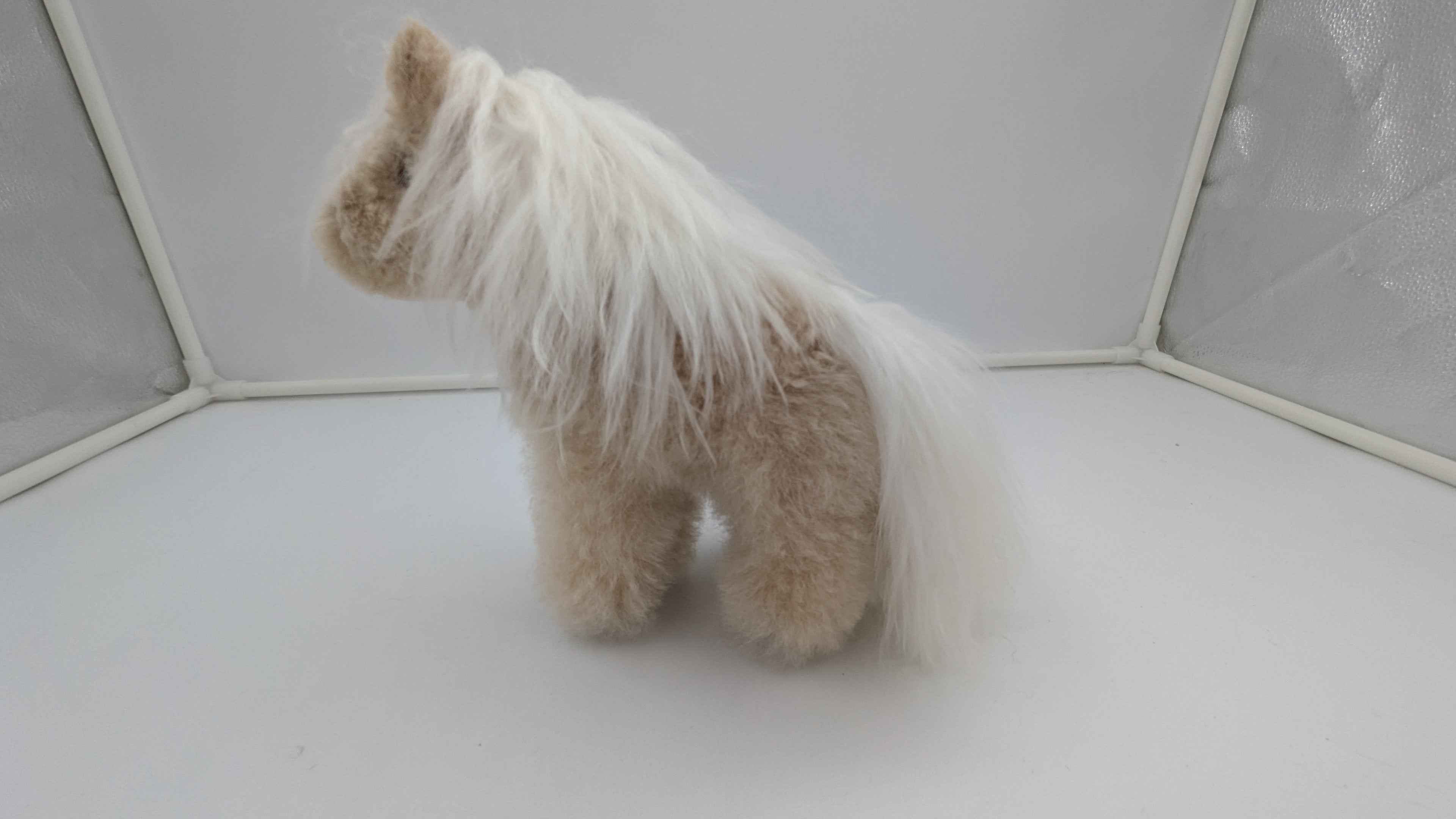 Furry Horse — Studio