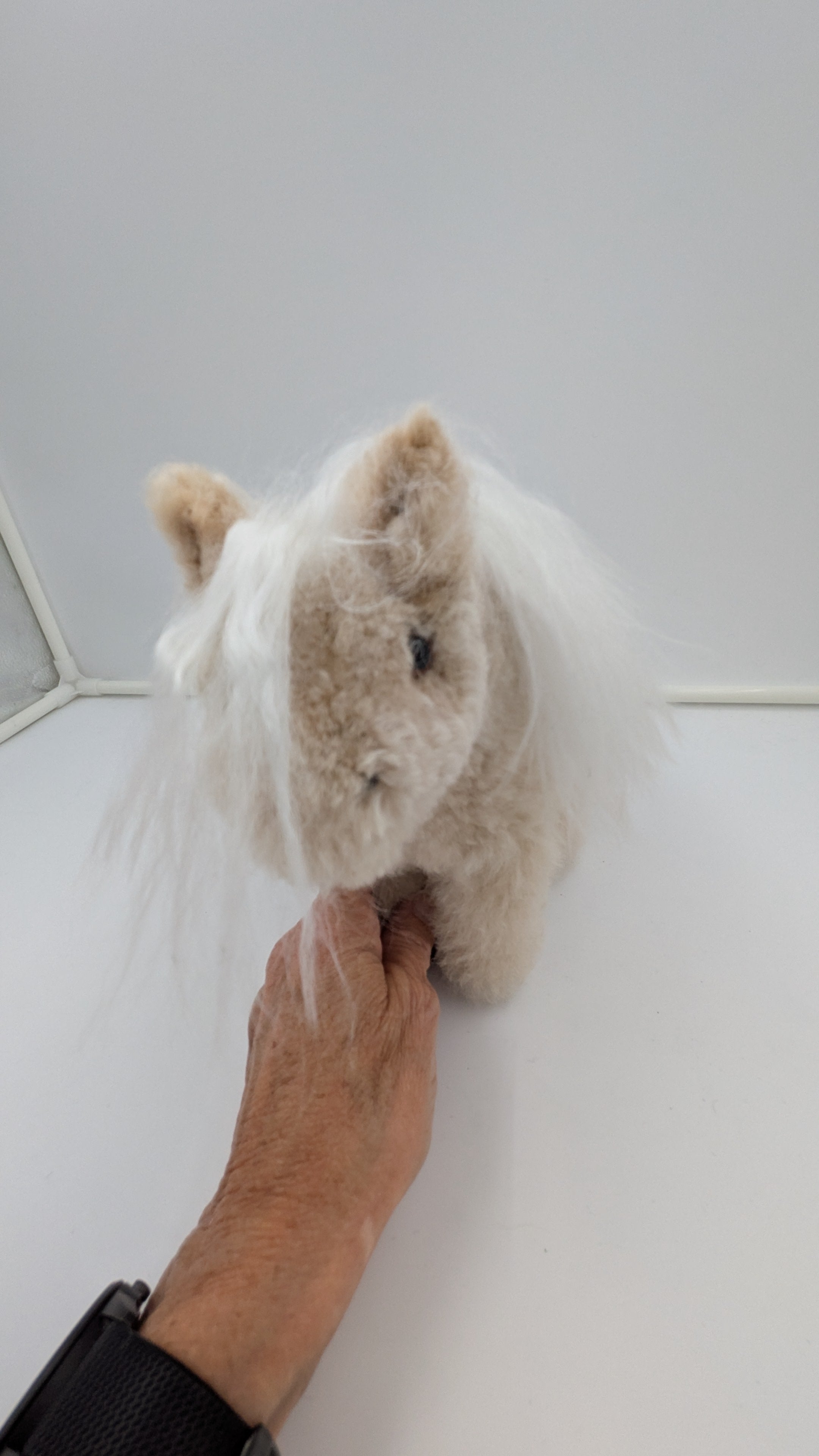 Furry Horse — Studio