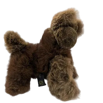 Brown teddy bear with a tag on a white background