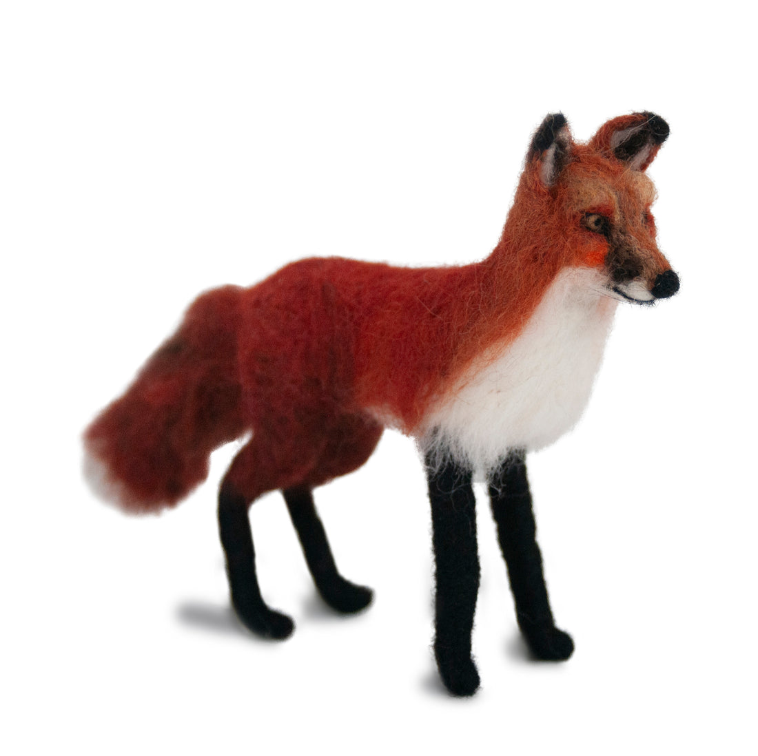 Red Fox