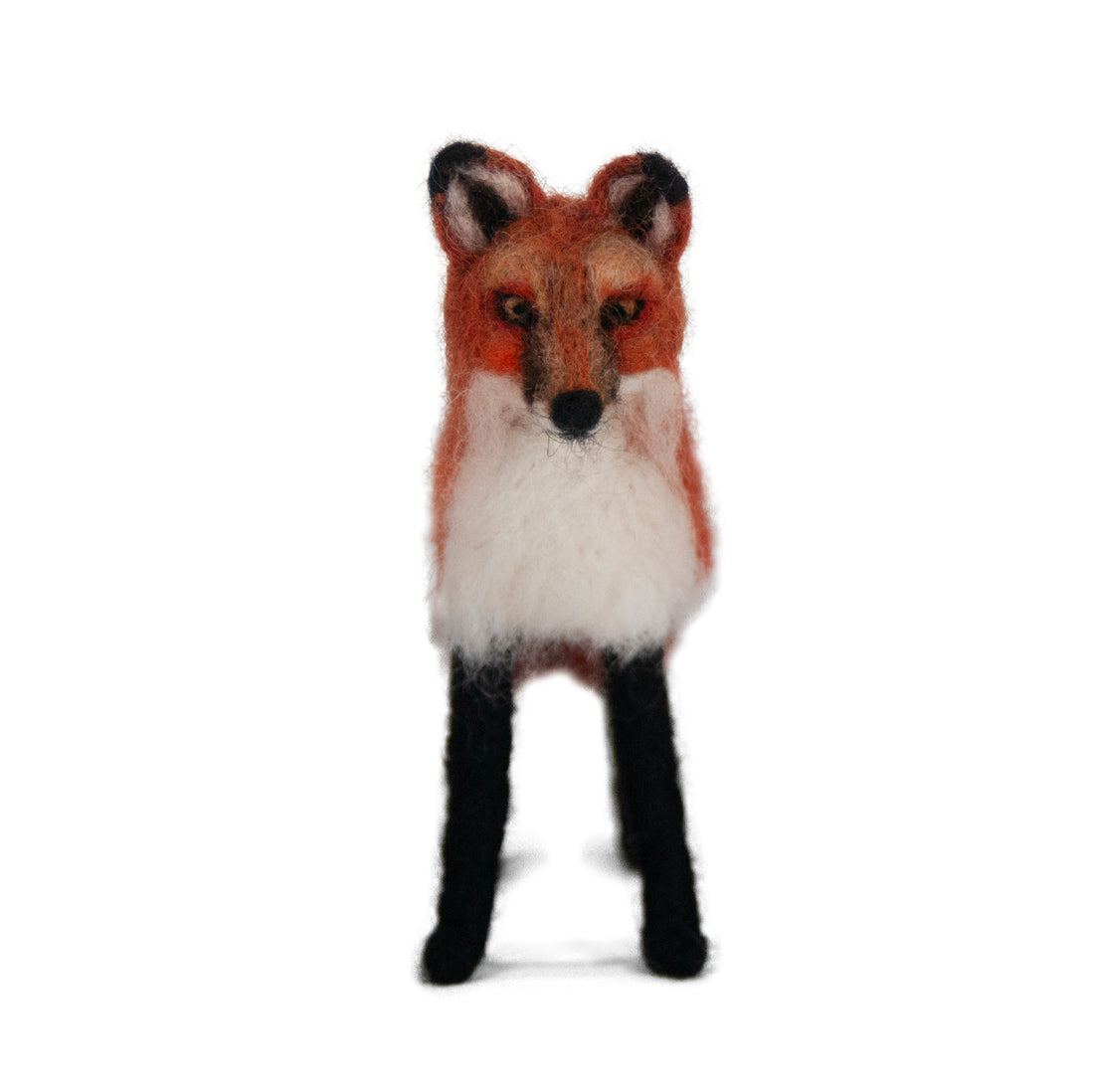 Red Fox