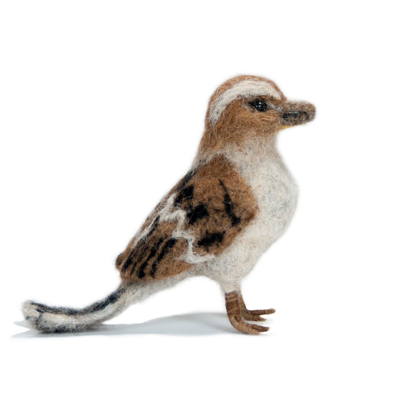 Sparrow