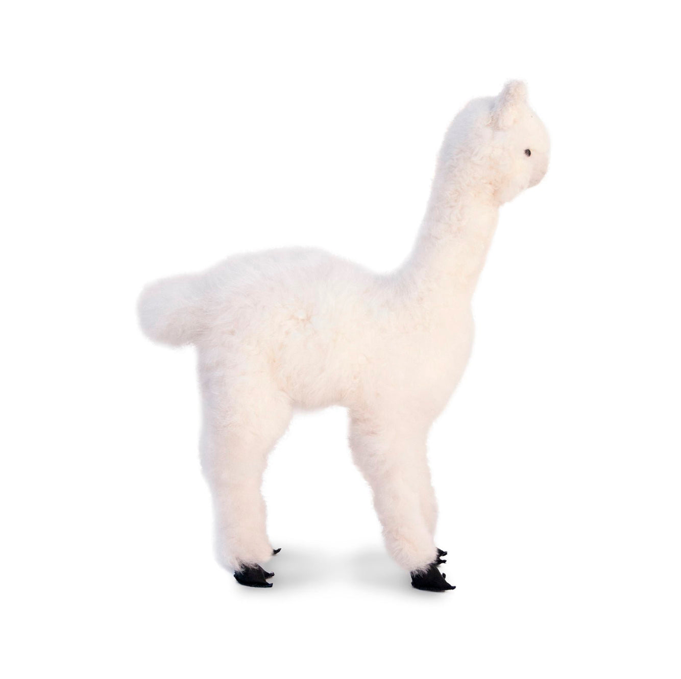 Sweet Pea Plush Alpaca 22"