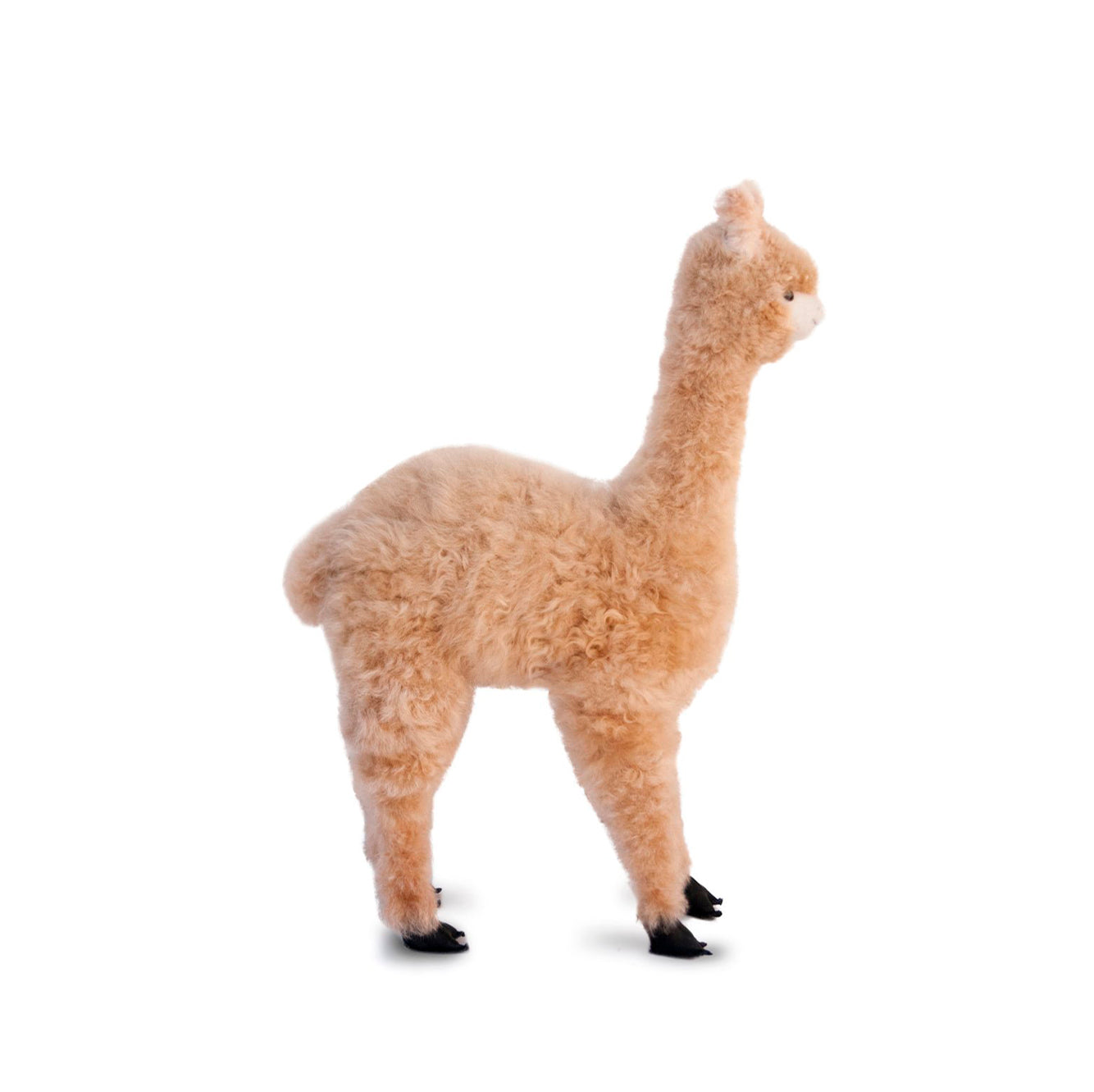 Sweet Pea Plush Alpaca 22"