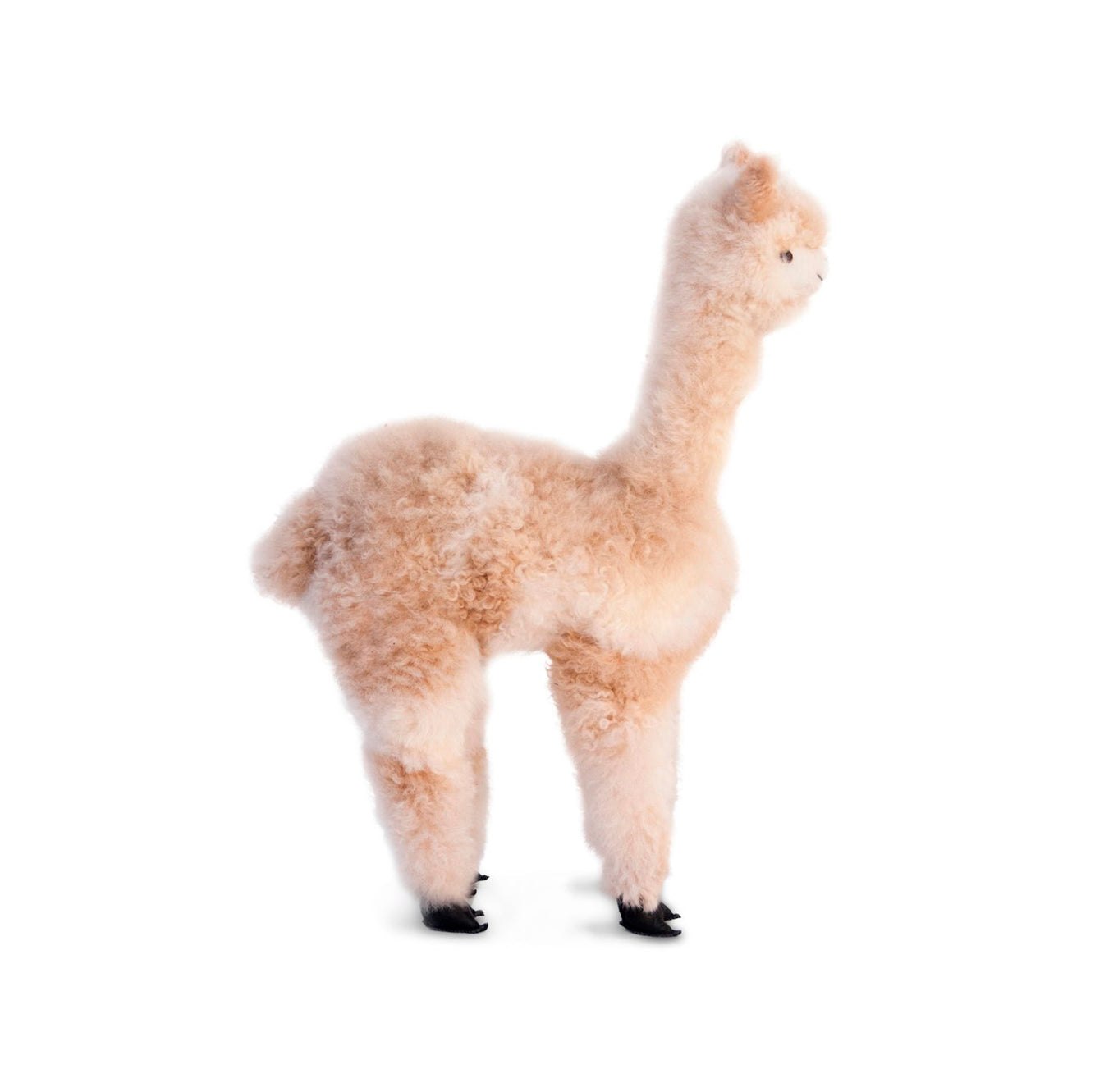 Sweet Pea Plush Alpaca 22"