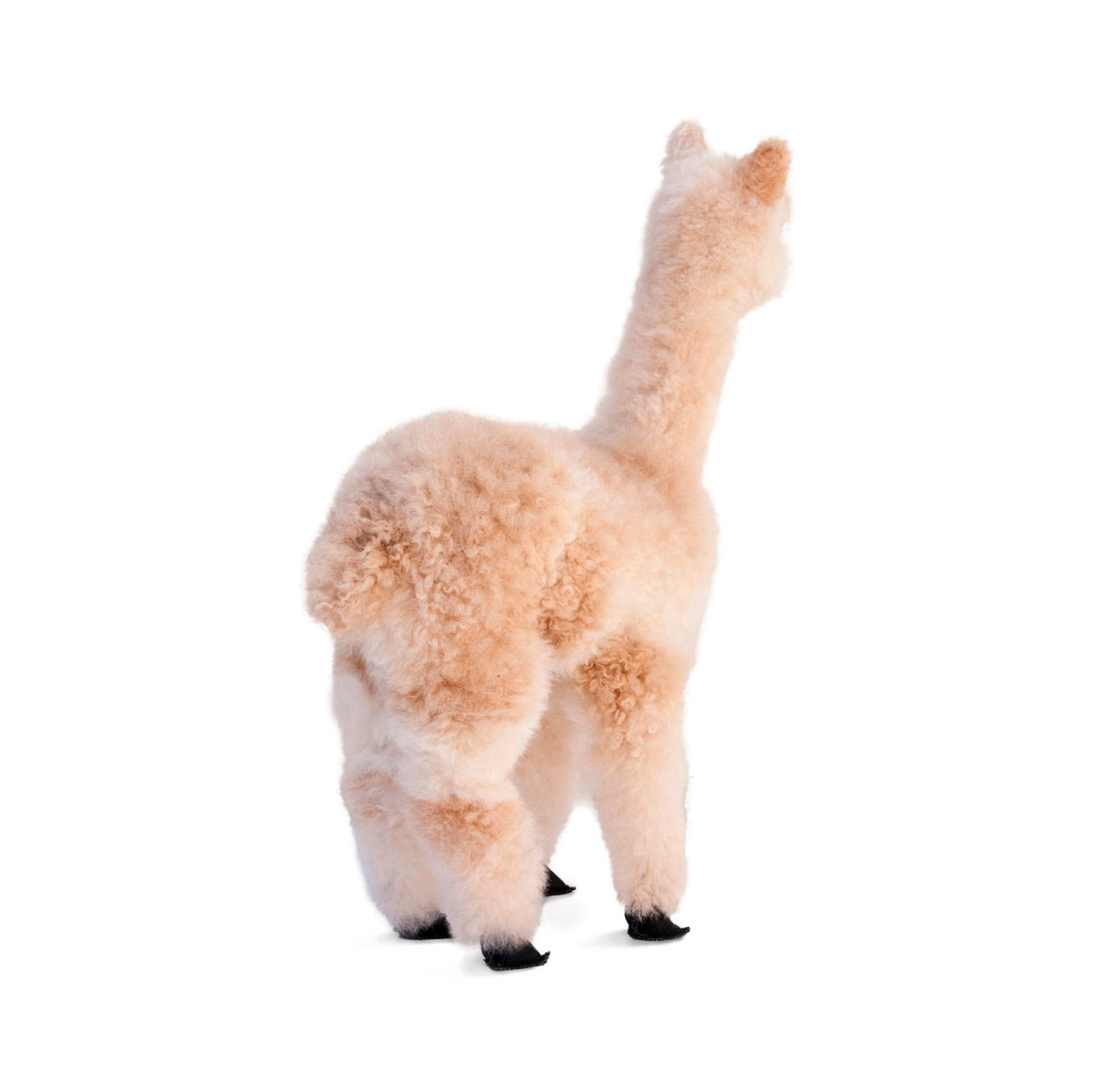 Sweet Pea Plush Alpaca 22"