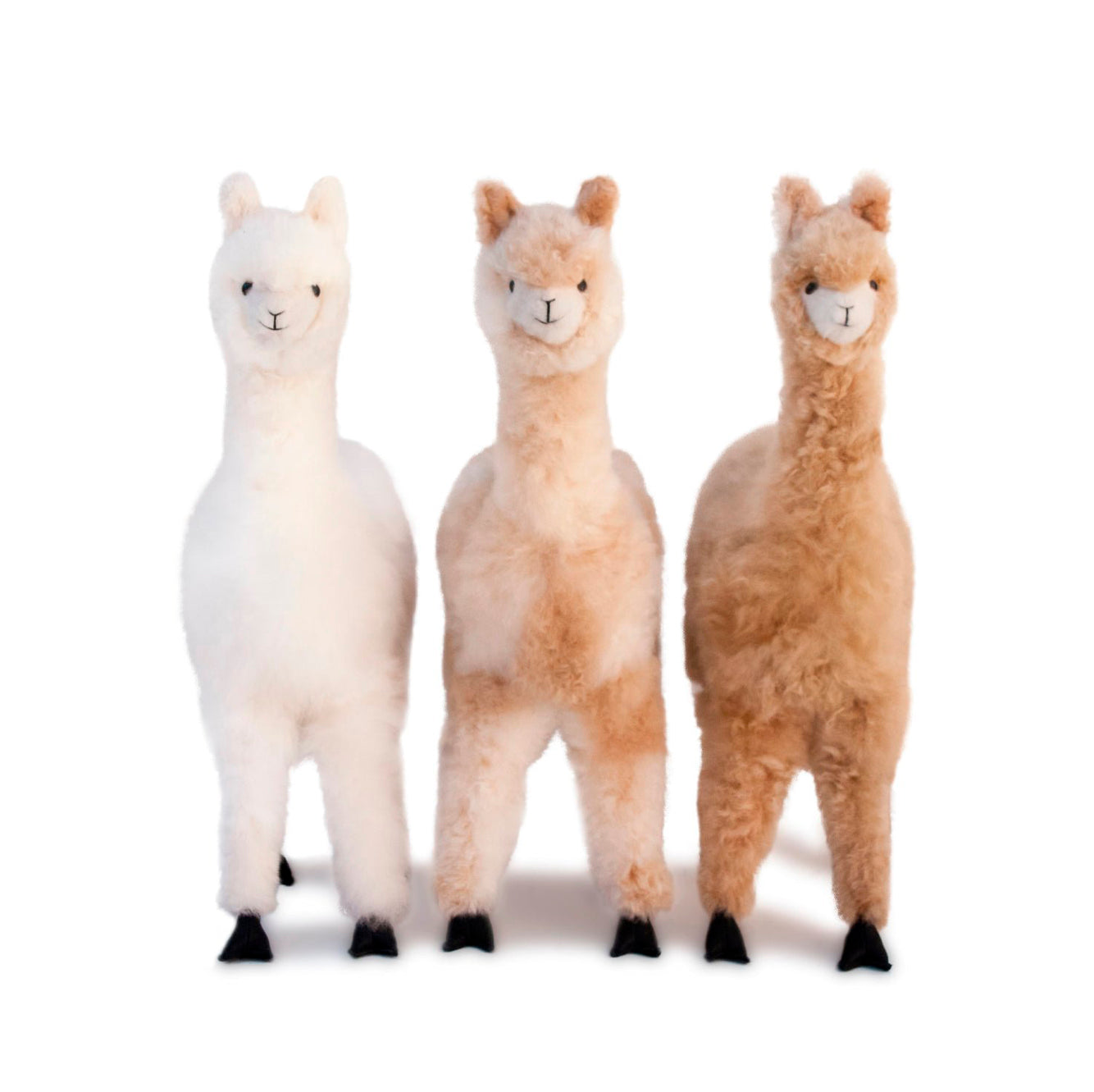 Sweet Pea Plush Alpaca 22"