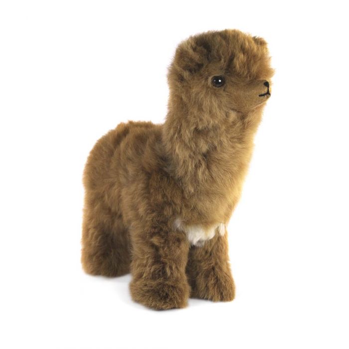 Plush Herdsire Alpaca 14"
