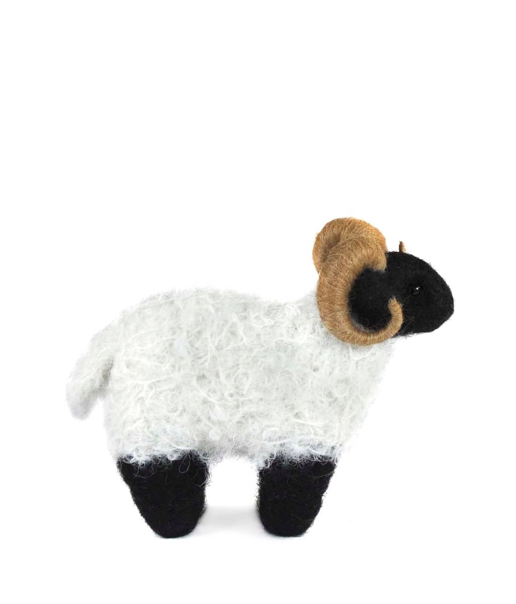 Blackface Ram - Lanart Alpaca