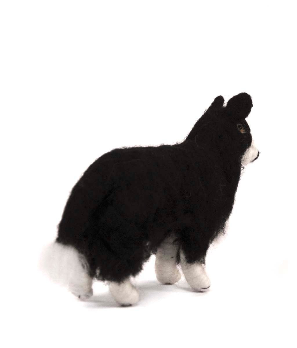 Border Collie - Lanart Alpaca