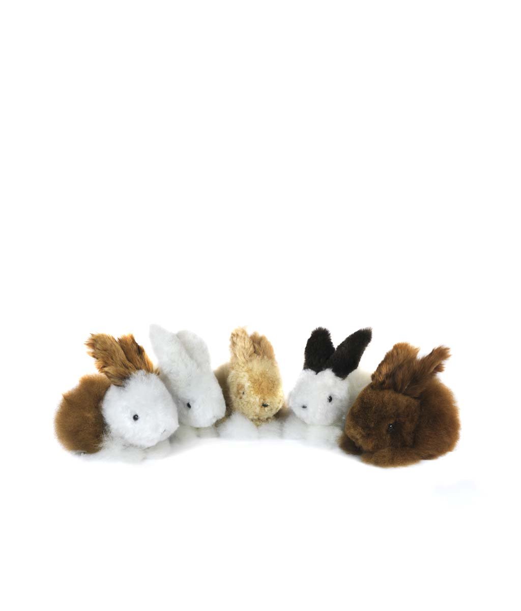 Chico Bunny - Lanart Alpaca