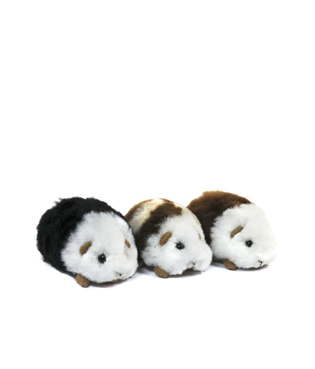 Chico Guinea Pig - Lanart Alpaca