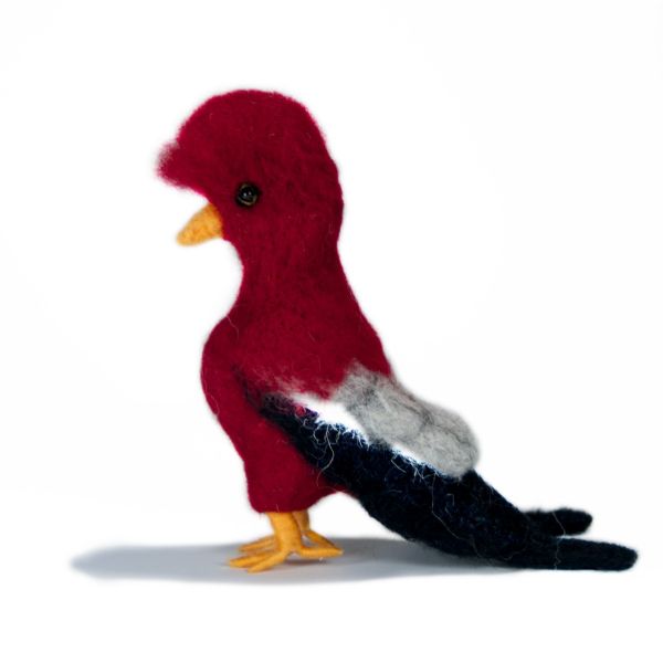 Cock - of - the - Rock - Lanart Alpaca