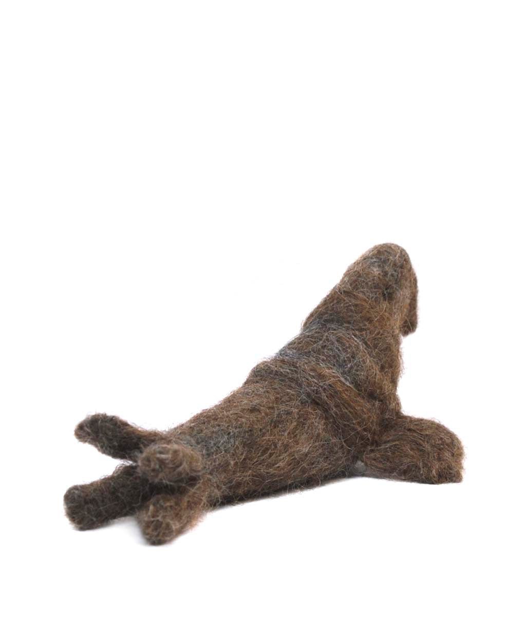 Elephant Seal - Lanart Alpaca