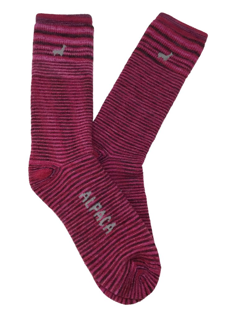 Socks Bundle - Lanart Alpaca