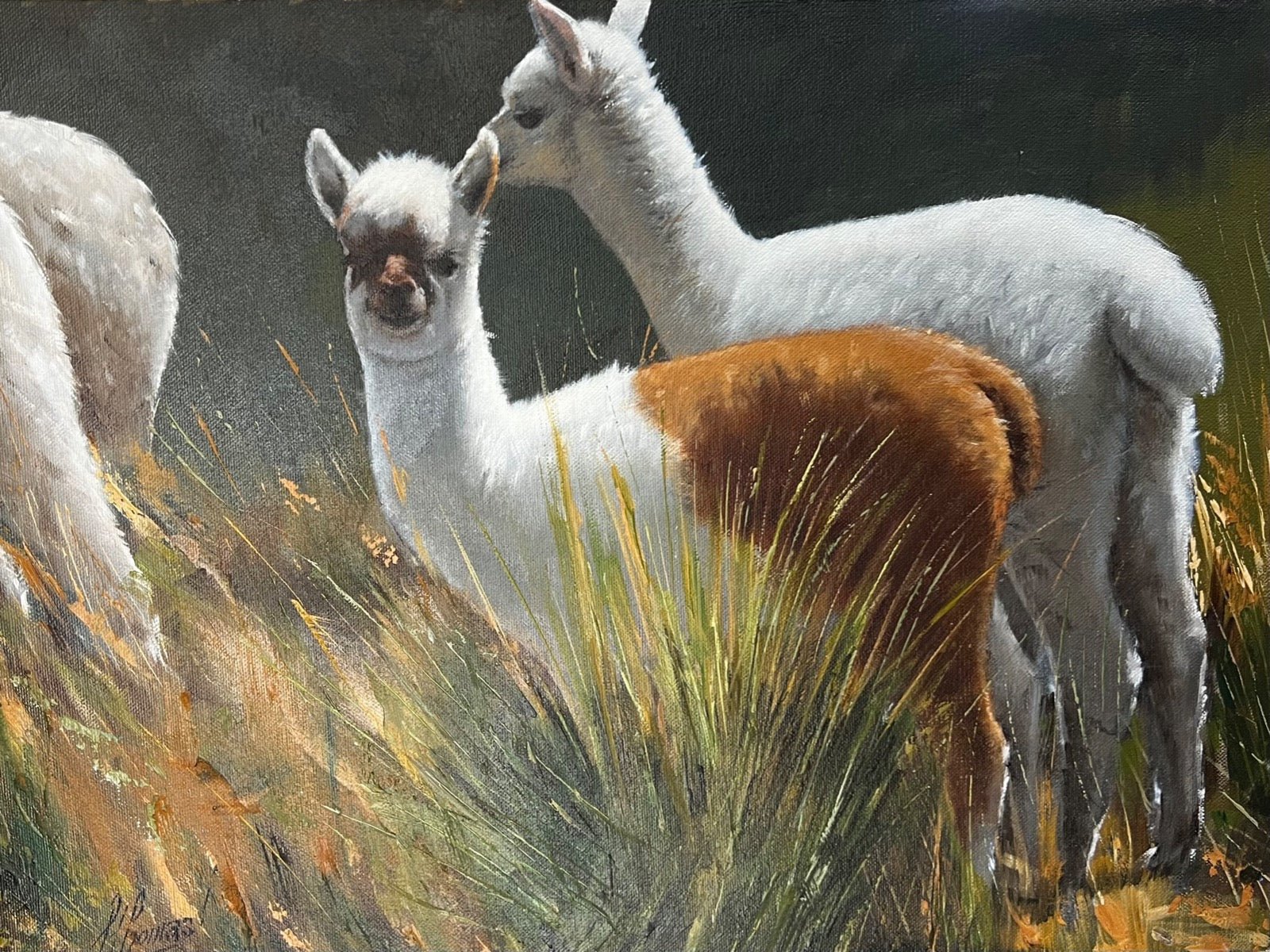 Punto Crias Painting - Lanart Alpaca