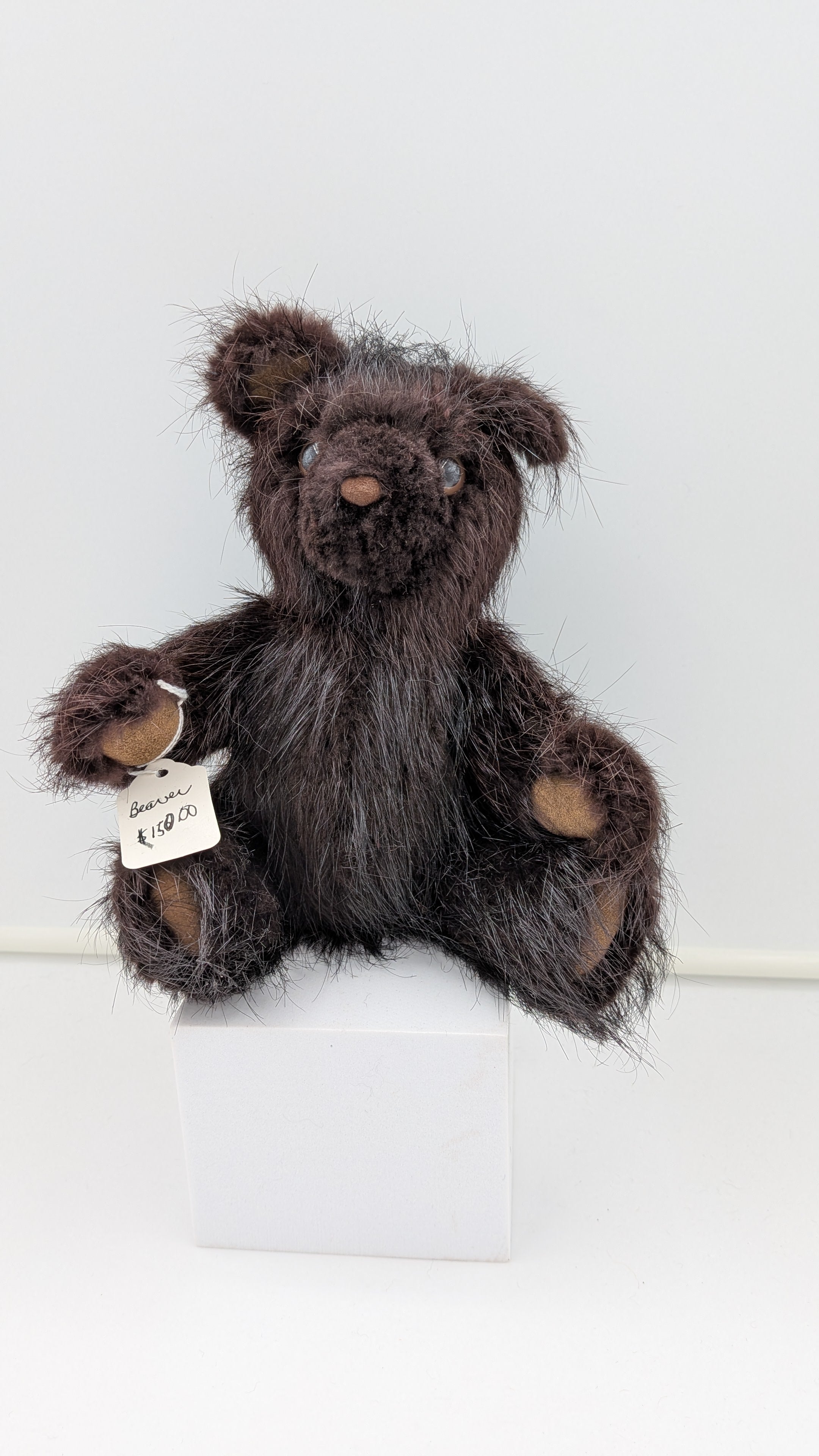 A dark brown shaggy teddy bear sitting on a white display block, with a small paper tag attached to its front paw.