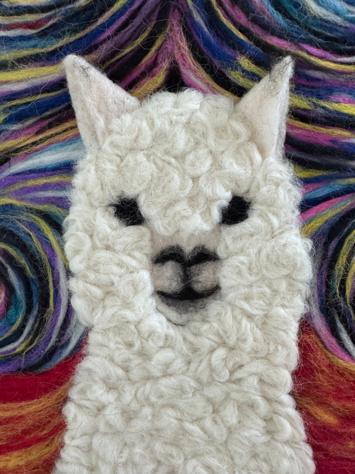 Starry Whispers Alpaca Portrait - Framed Wall Art