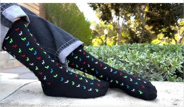 Dress: Colorful Logo Socks - Lanart Alpaca