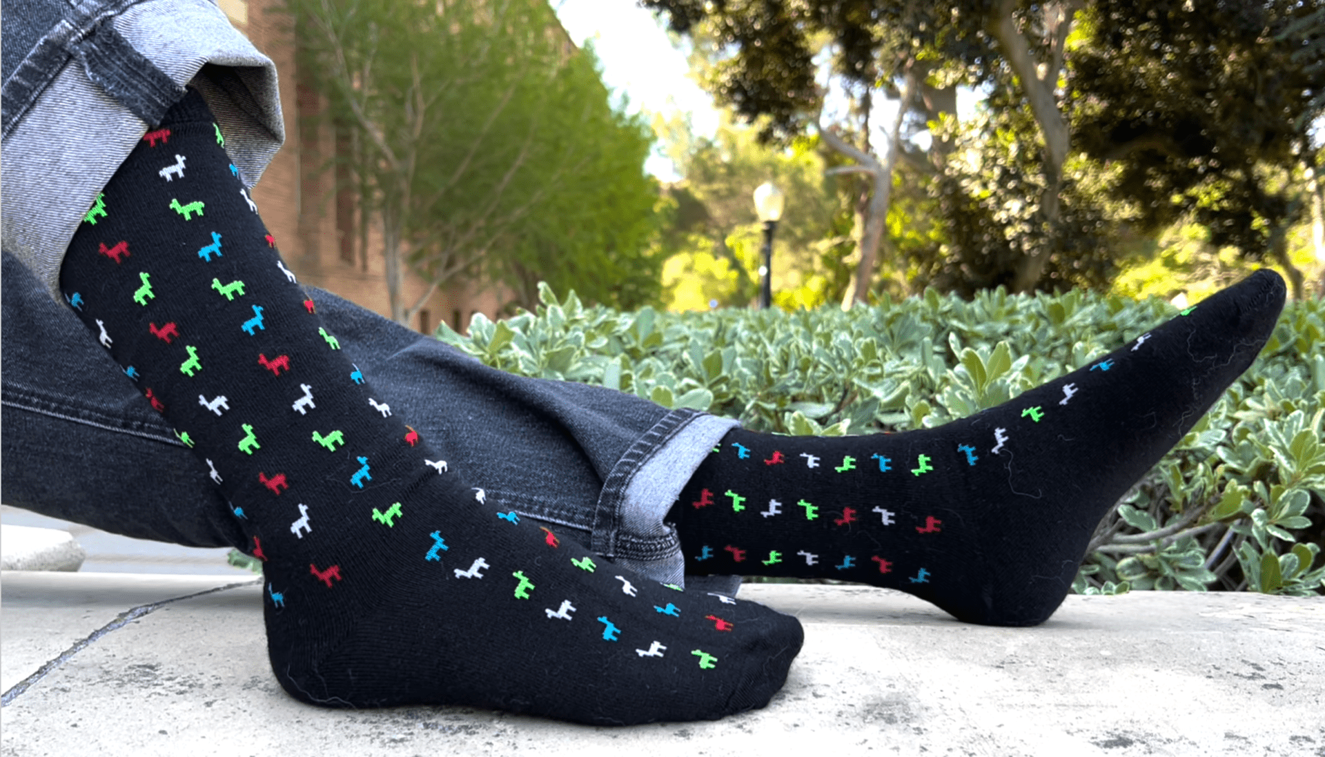Dress: Colorful Logo Socks - Lanart Alpaca