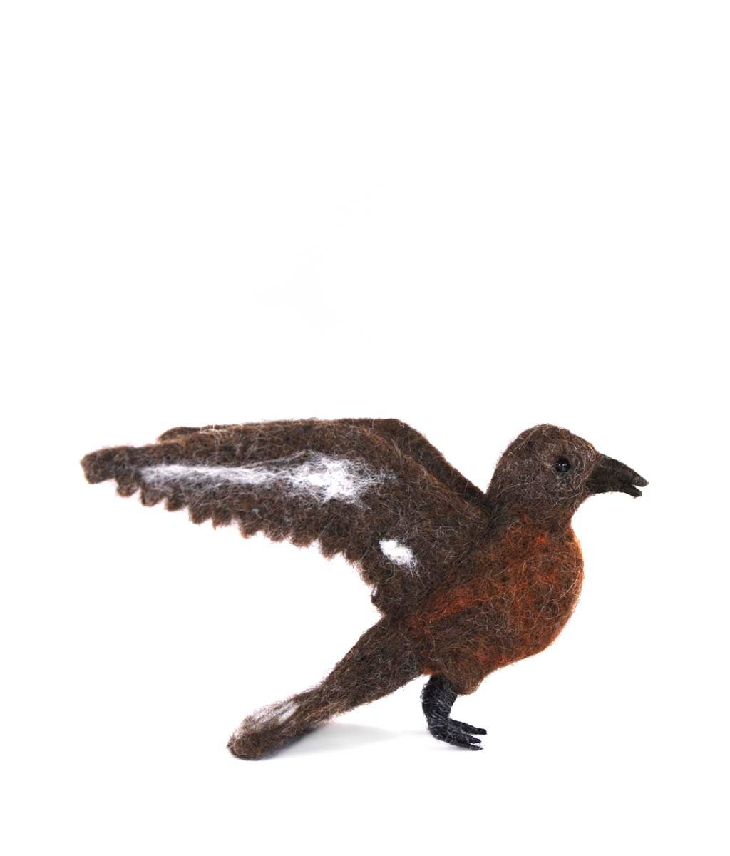 Skua - Lanart Alpaca