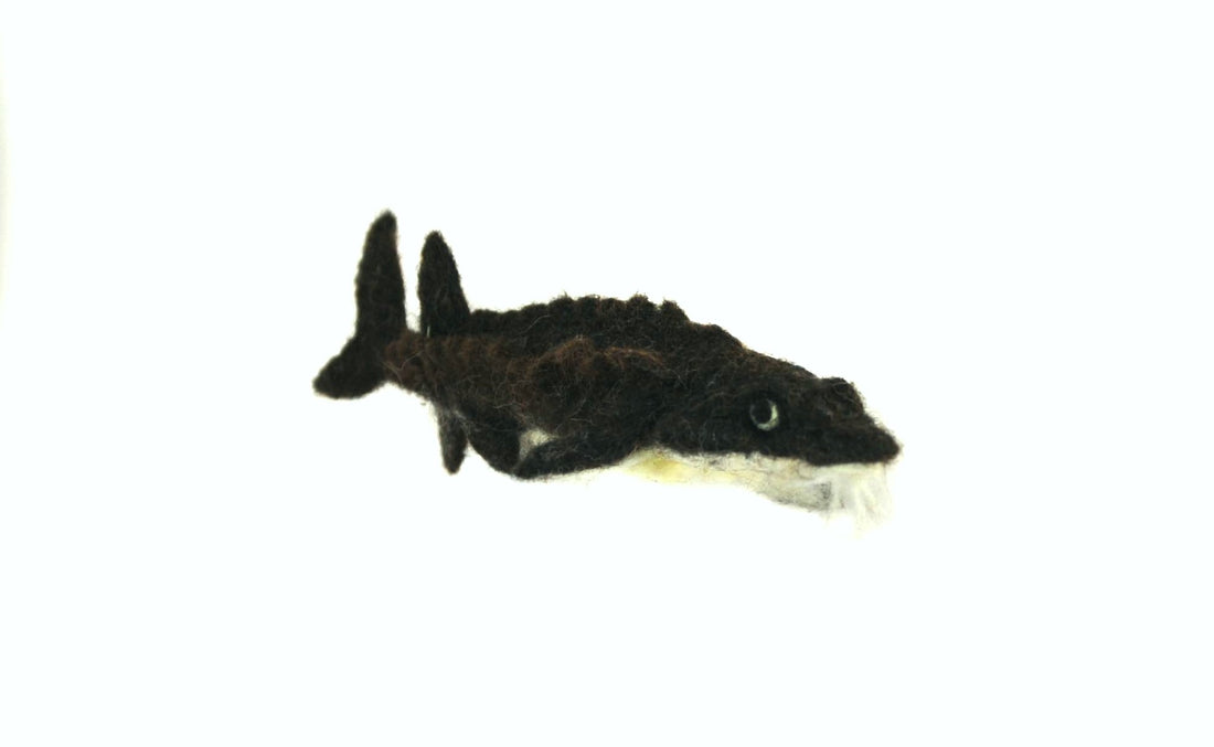 Sturgeon - Lanart Alpaca