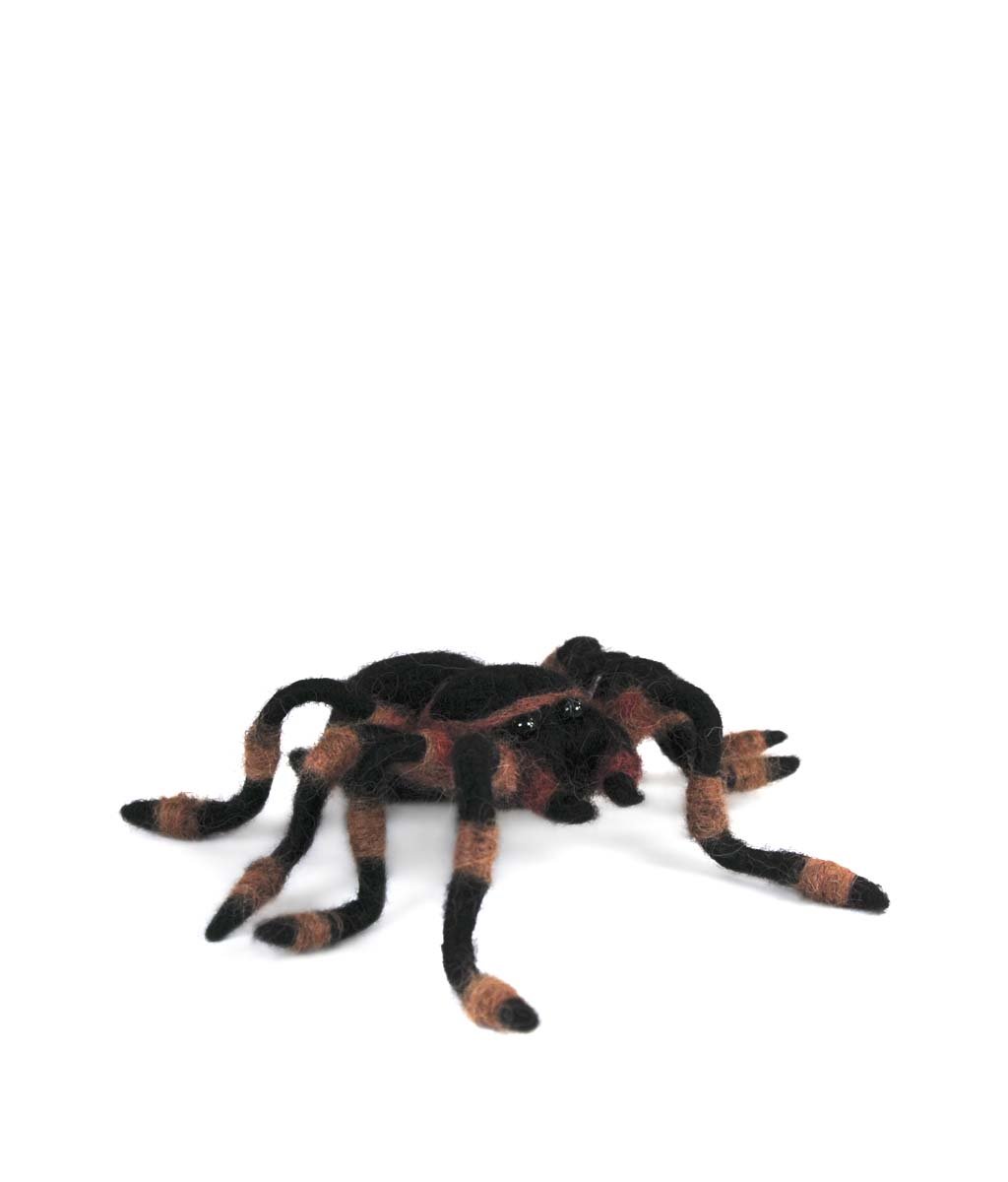 Tarantula - Lanart Alpaca