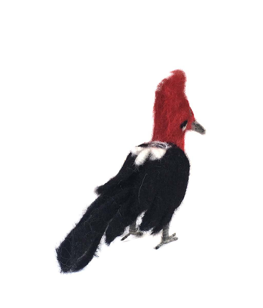 Woodpecker - Lanart Alpaca