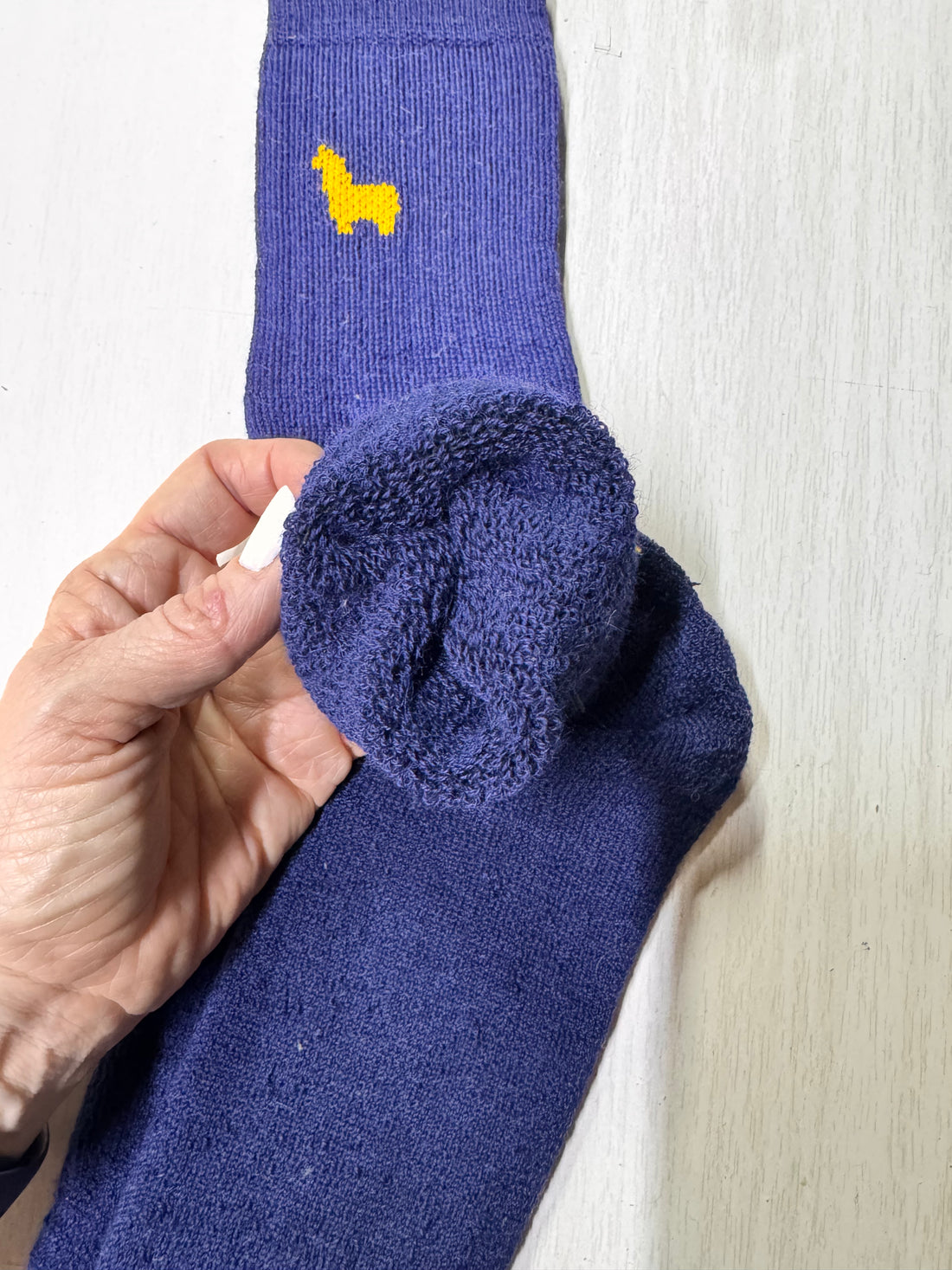 Hiker Socks Navy— Studio